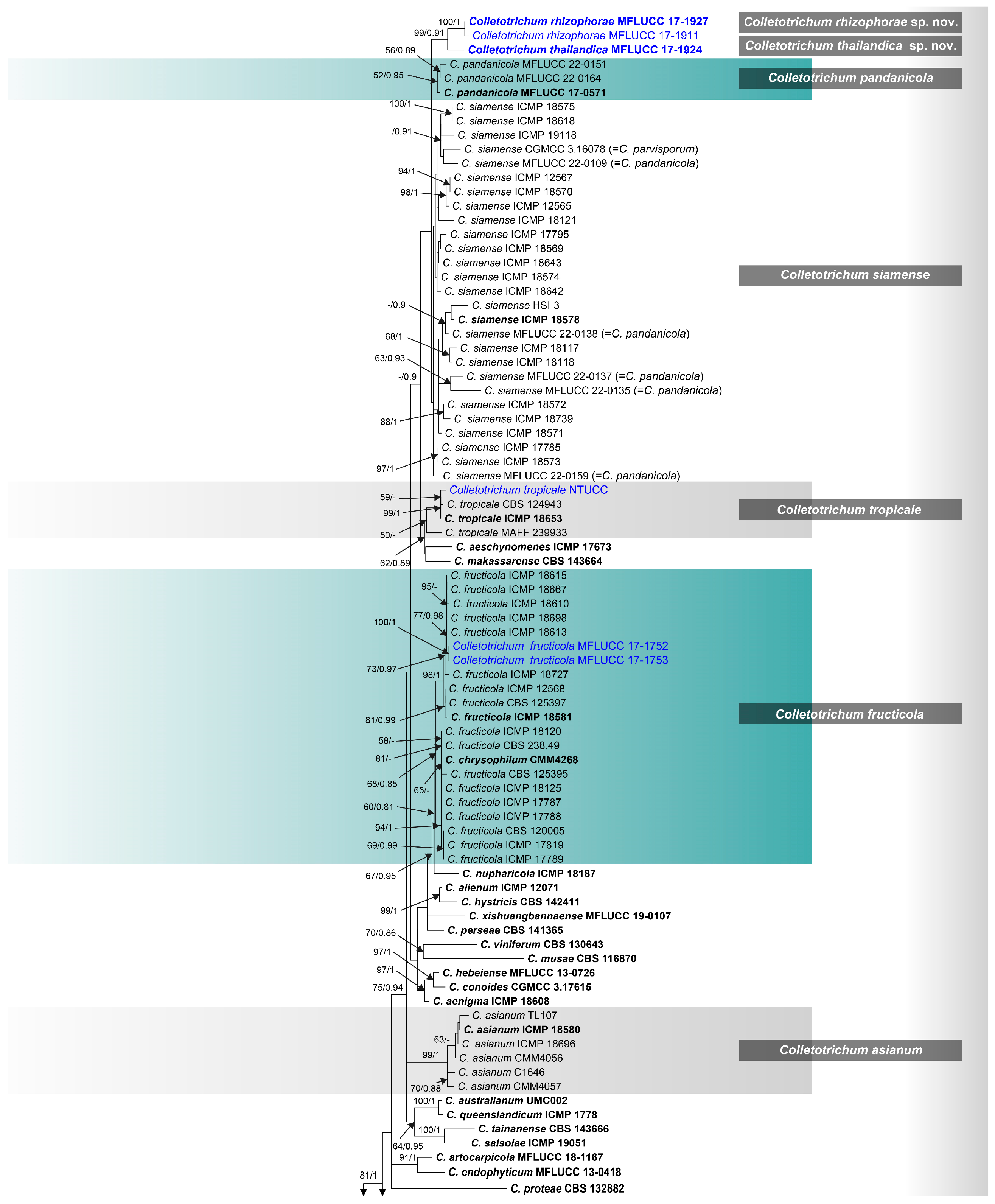 Pathogens 12 01436 g001a