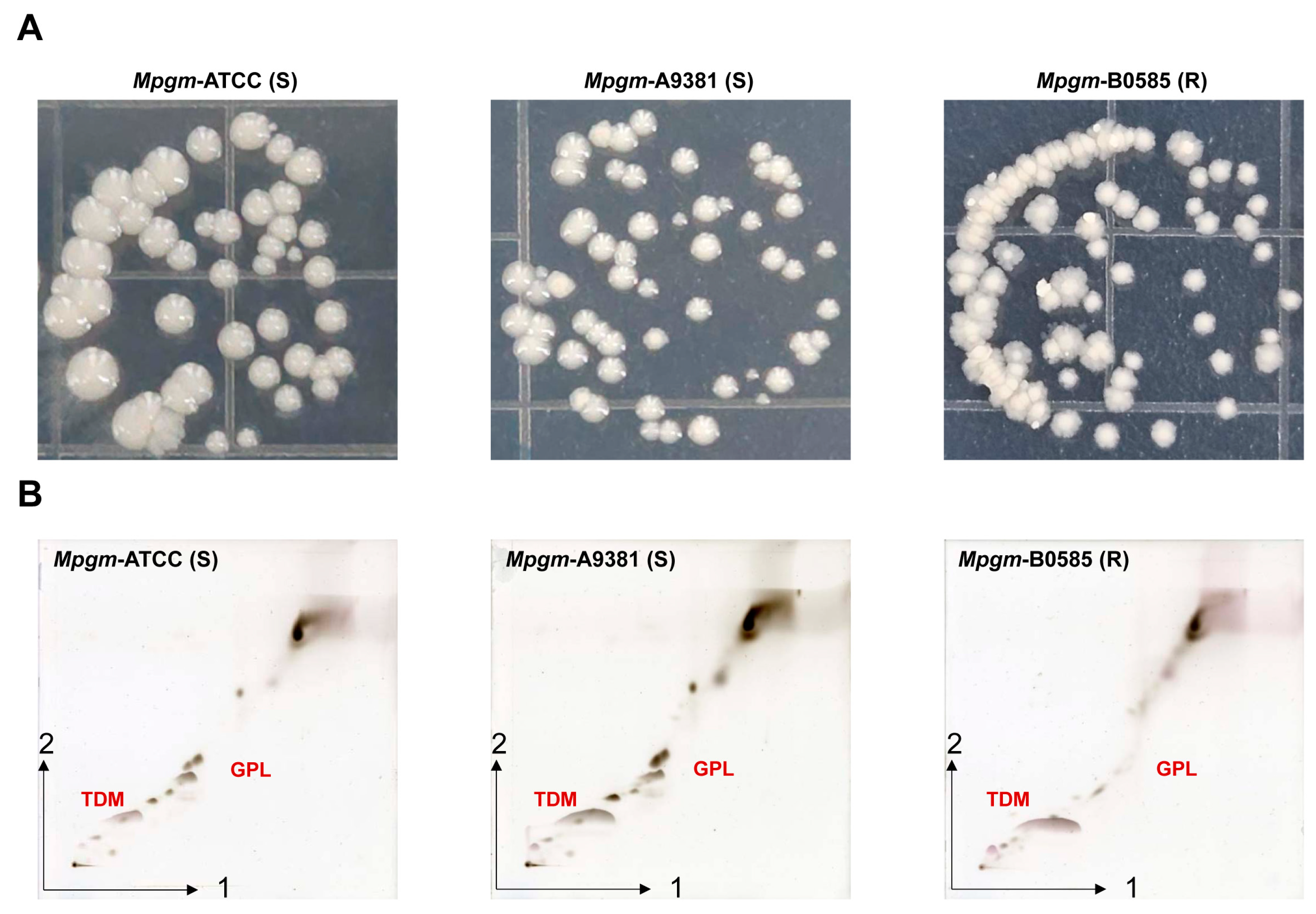 Pathogens 12 01446 g001