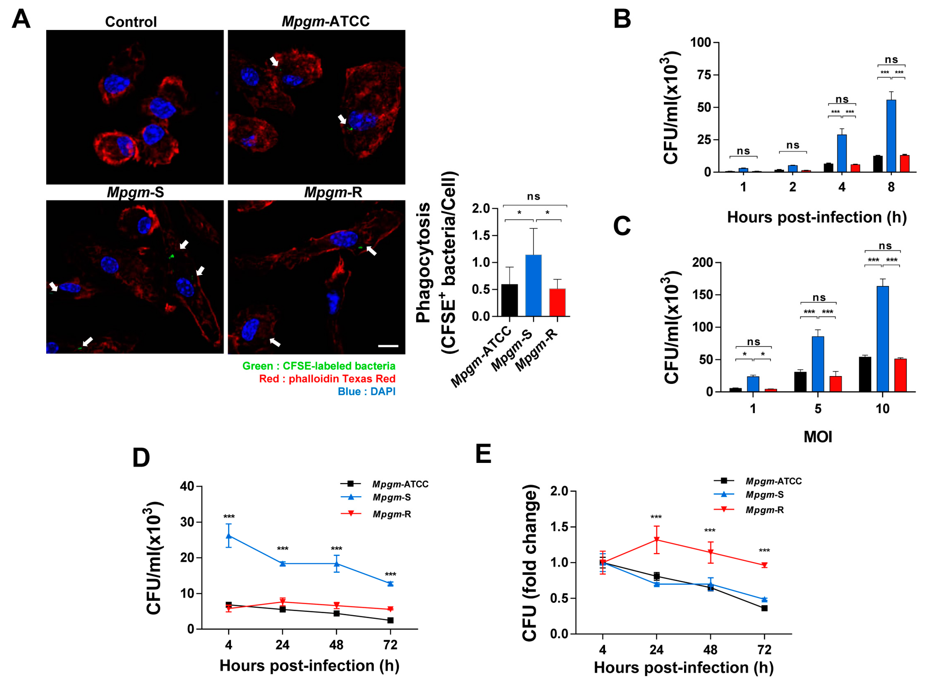 Pathogens 12 01446 g002
