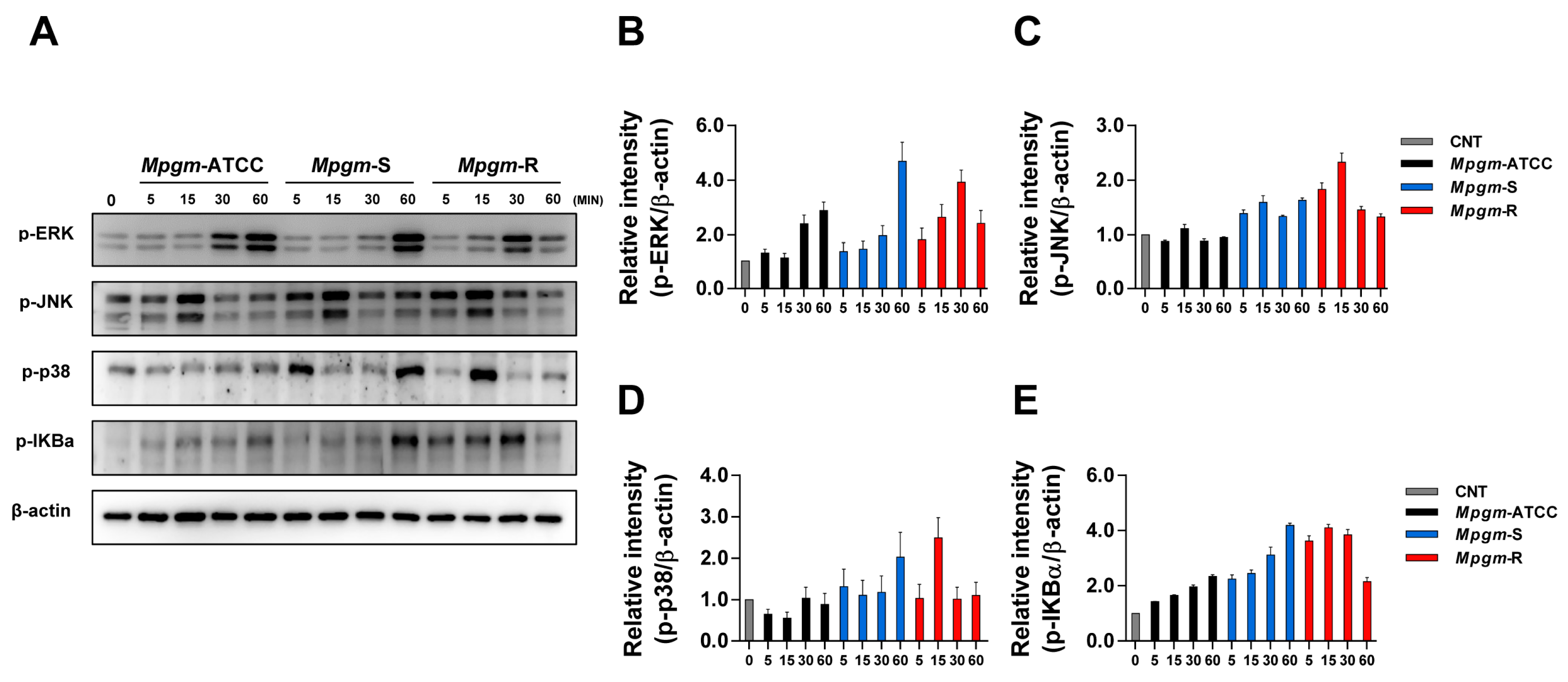 Pathogens 12 01446 g005