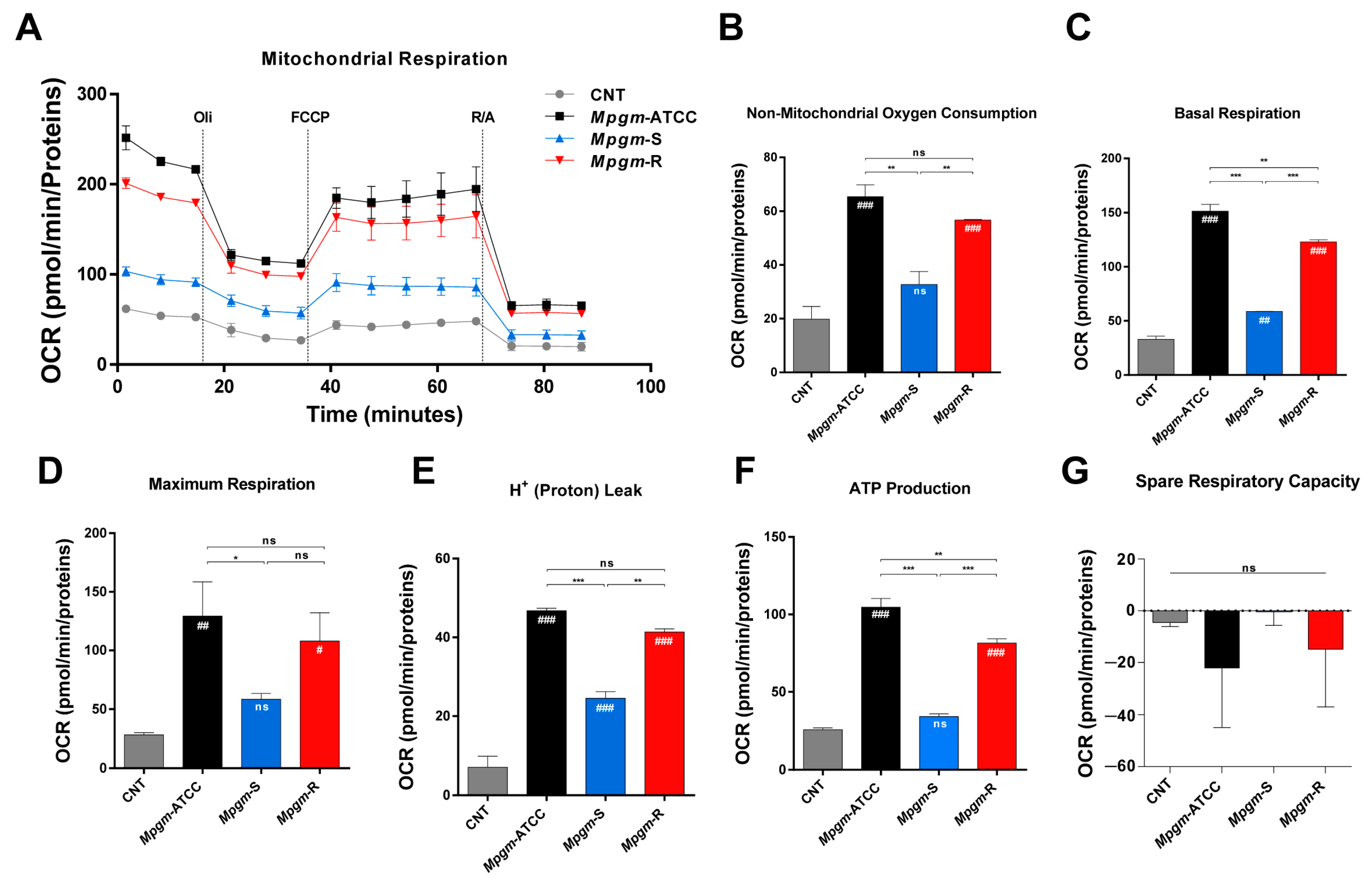 Pathogens 12 01446 g006