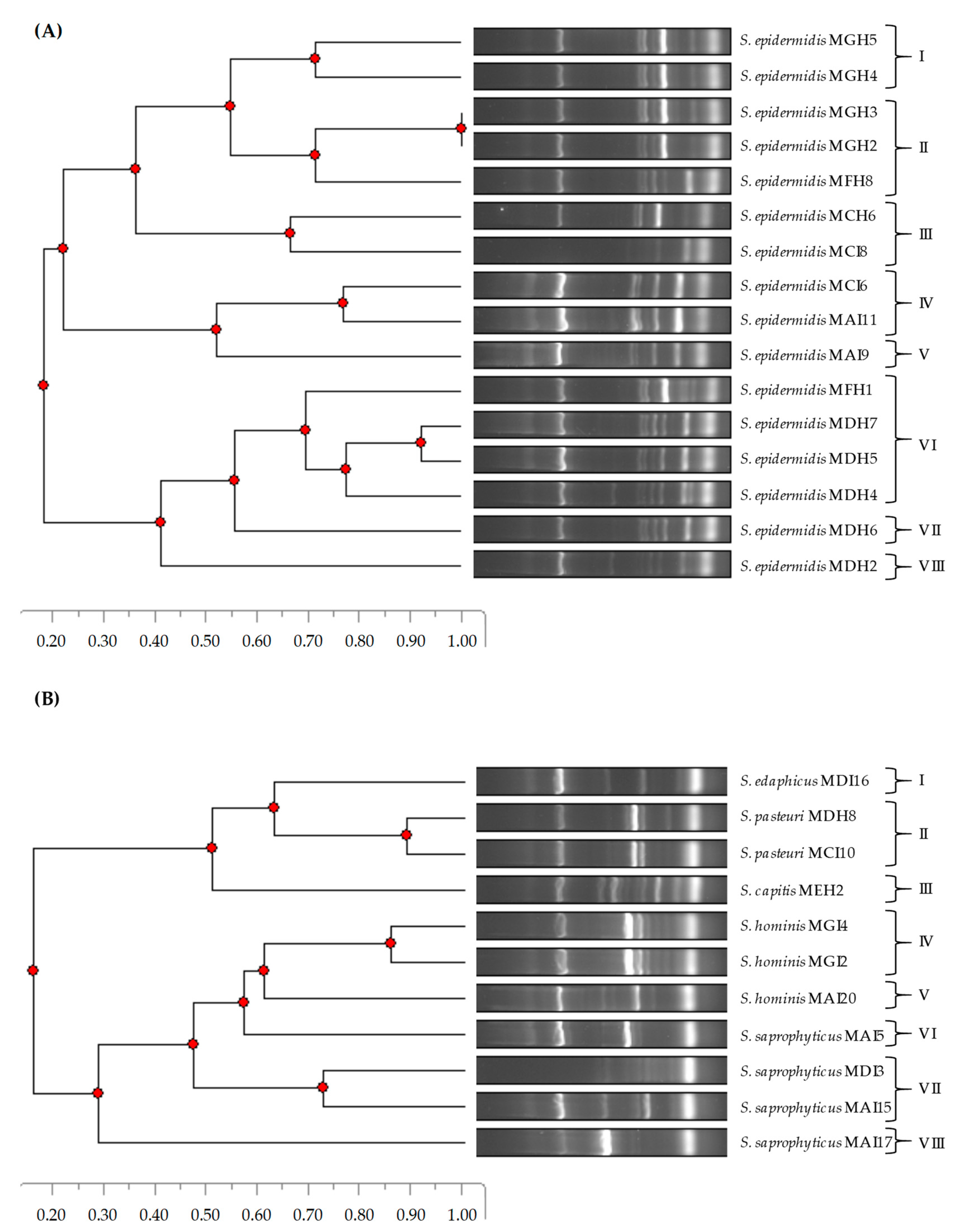 Pathogens 12 01447 g001
