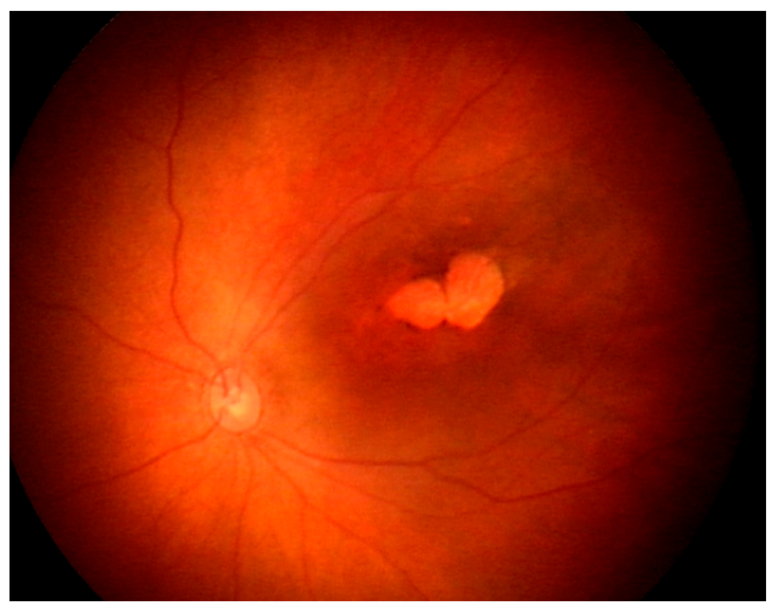 Pathogens 12 01457 g005