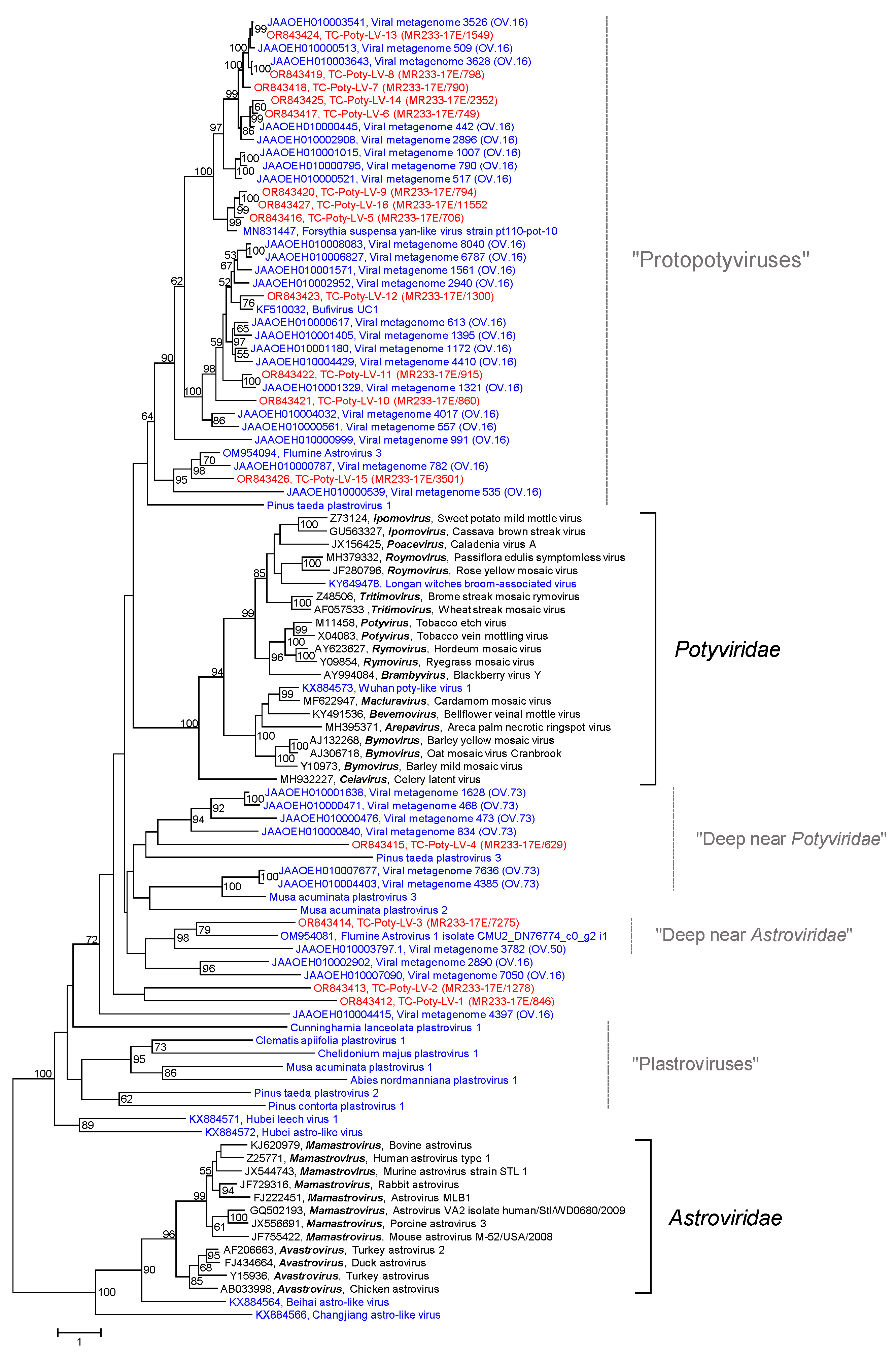 Pathogens 12 01458 g006