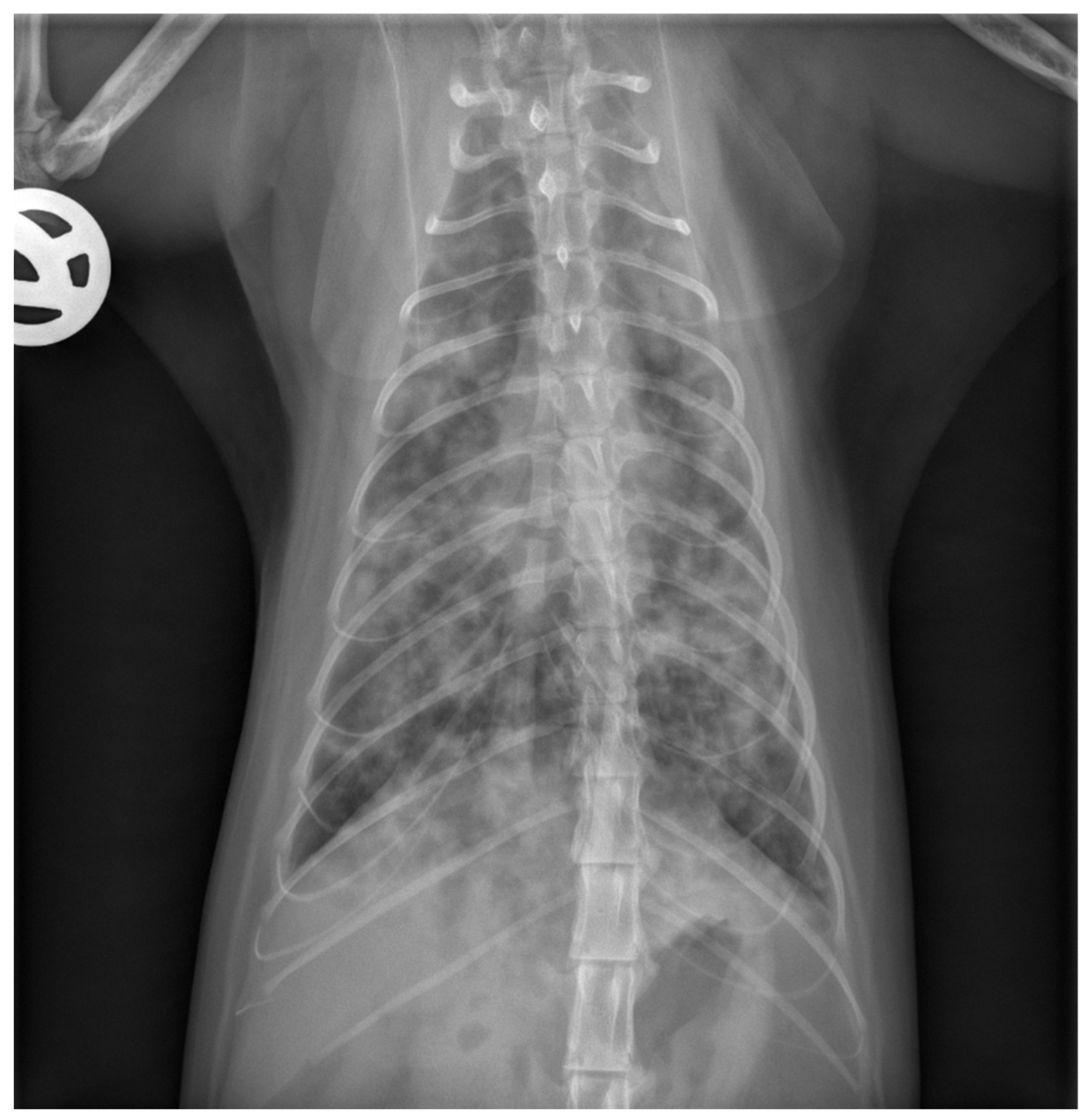 Pathogens 13 00007 g002