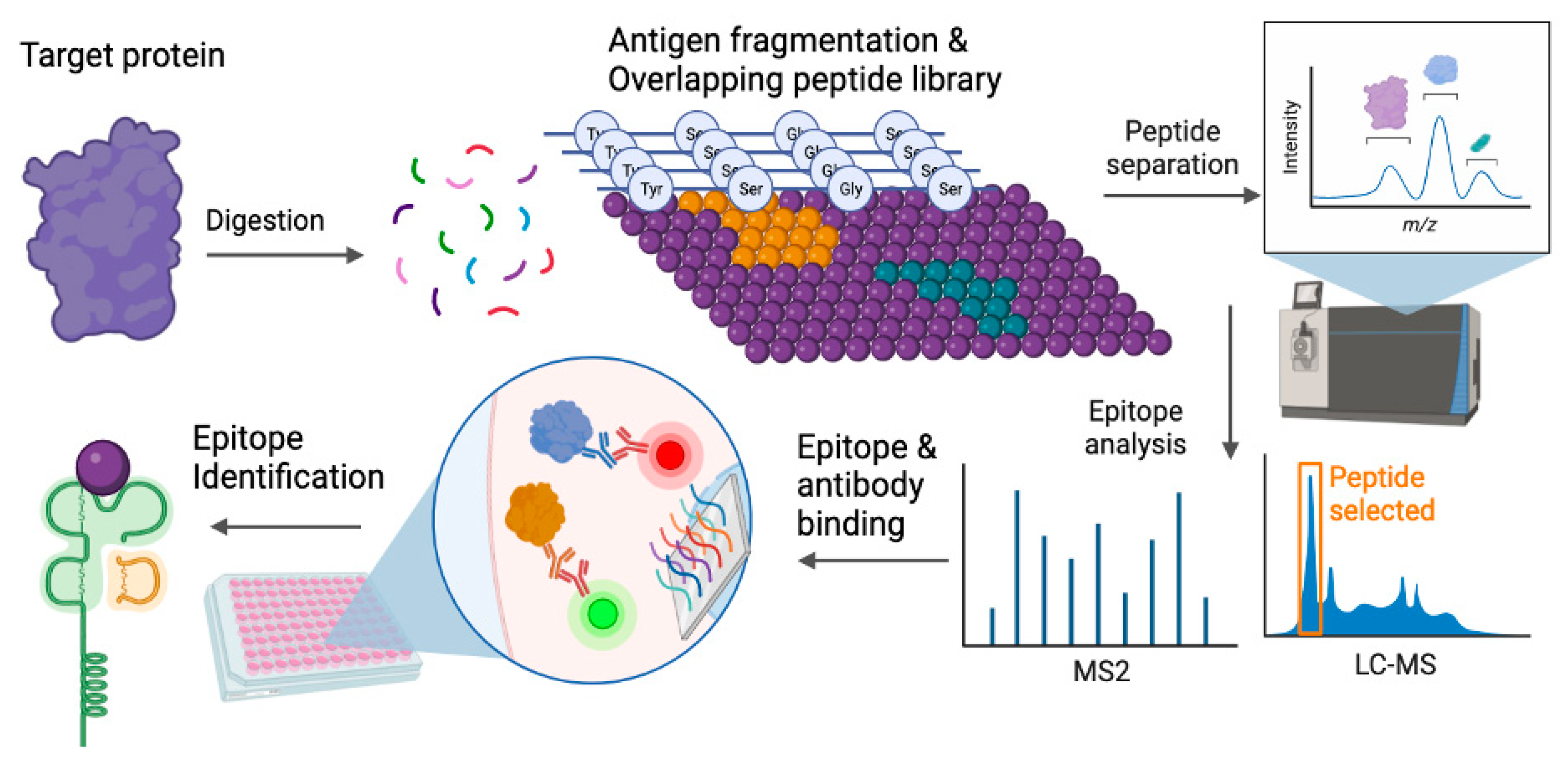 Pathogens 13 00014 g001