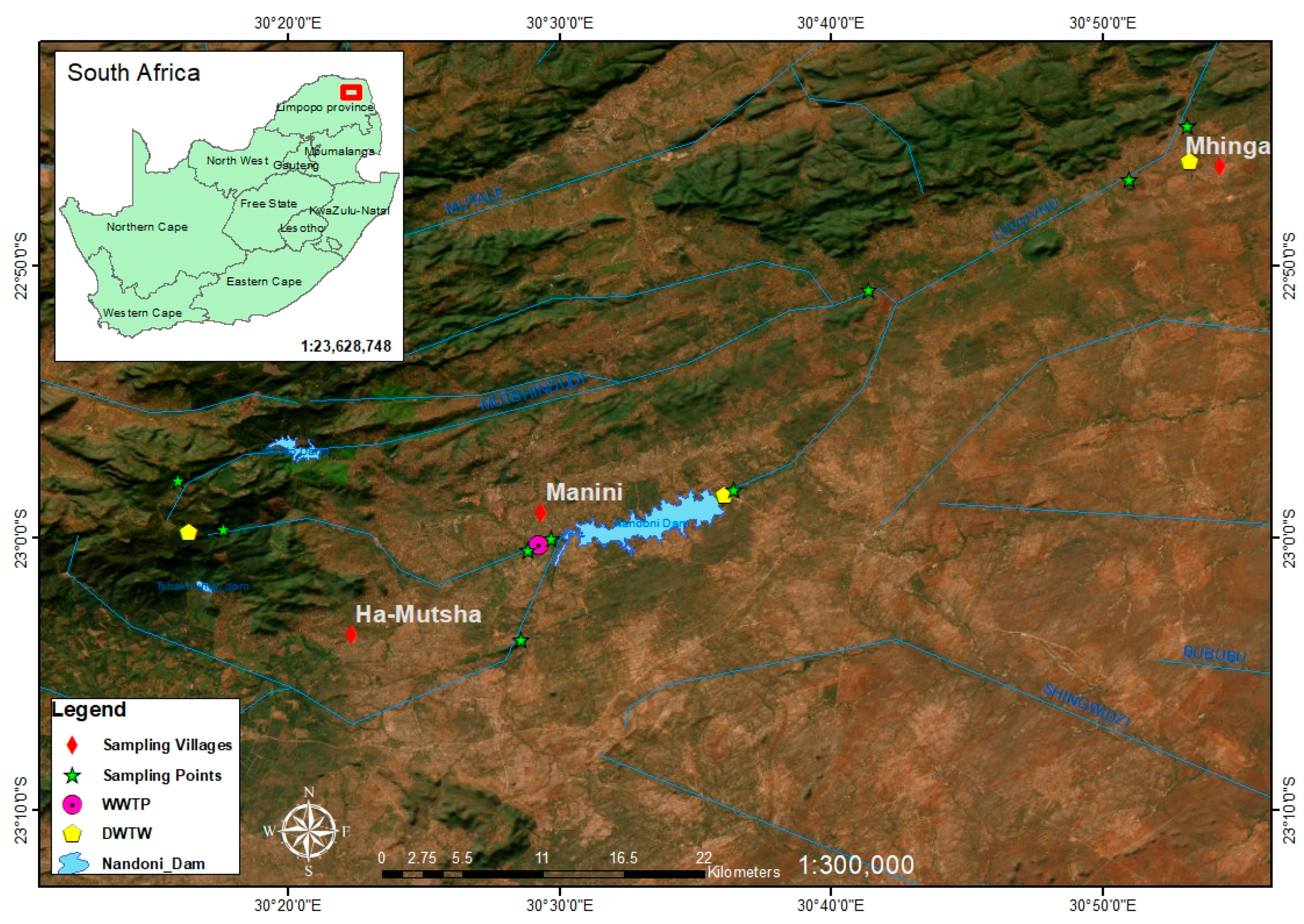 Pathogens 13 00016 g001