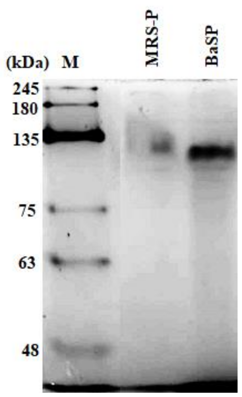 Pathogens 13 00017 g001