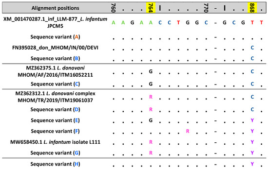 Pathogens 13 00019 g001
