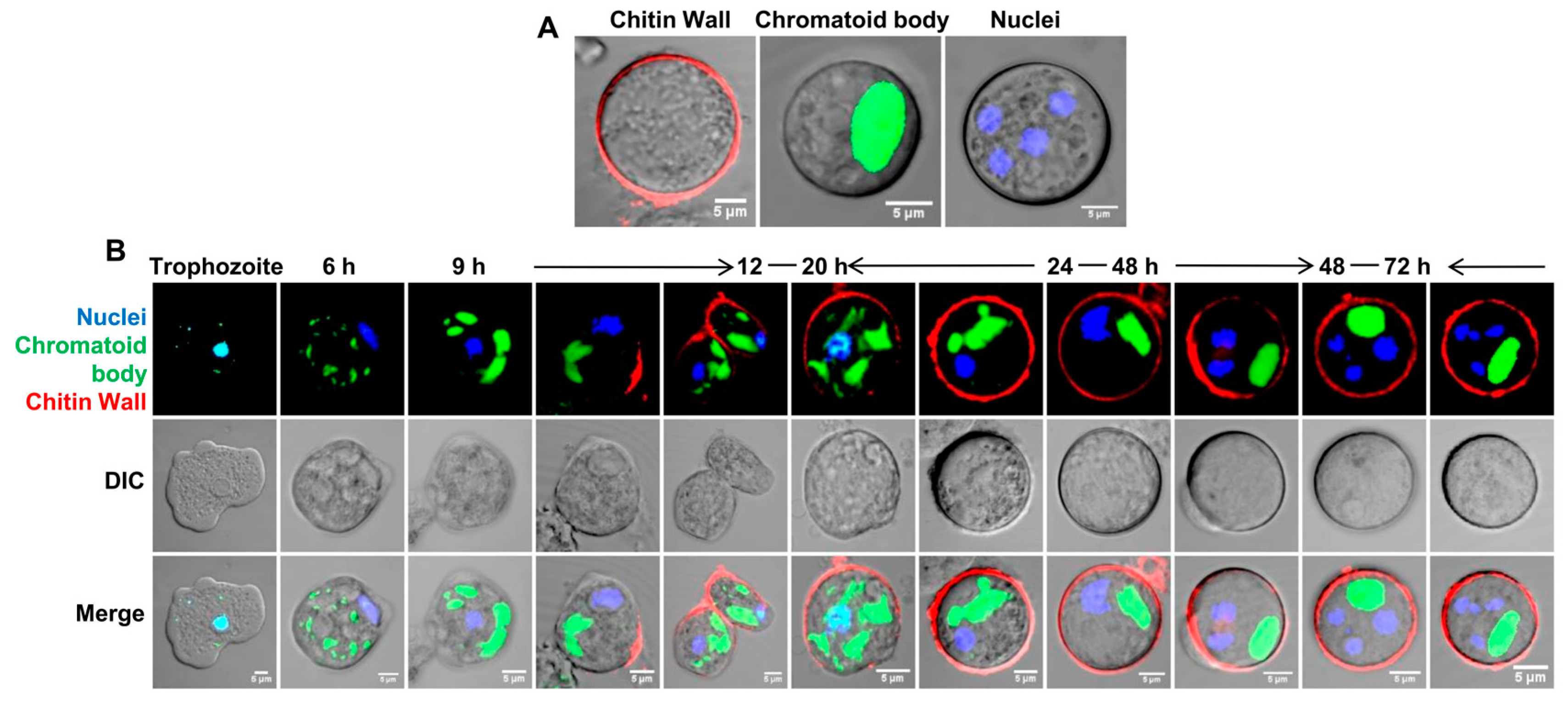 Pathogens 13 00020 g003