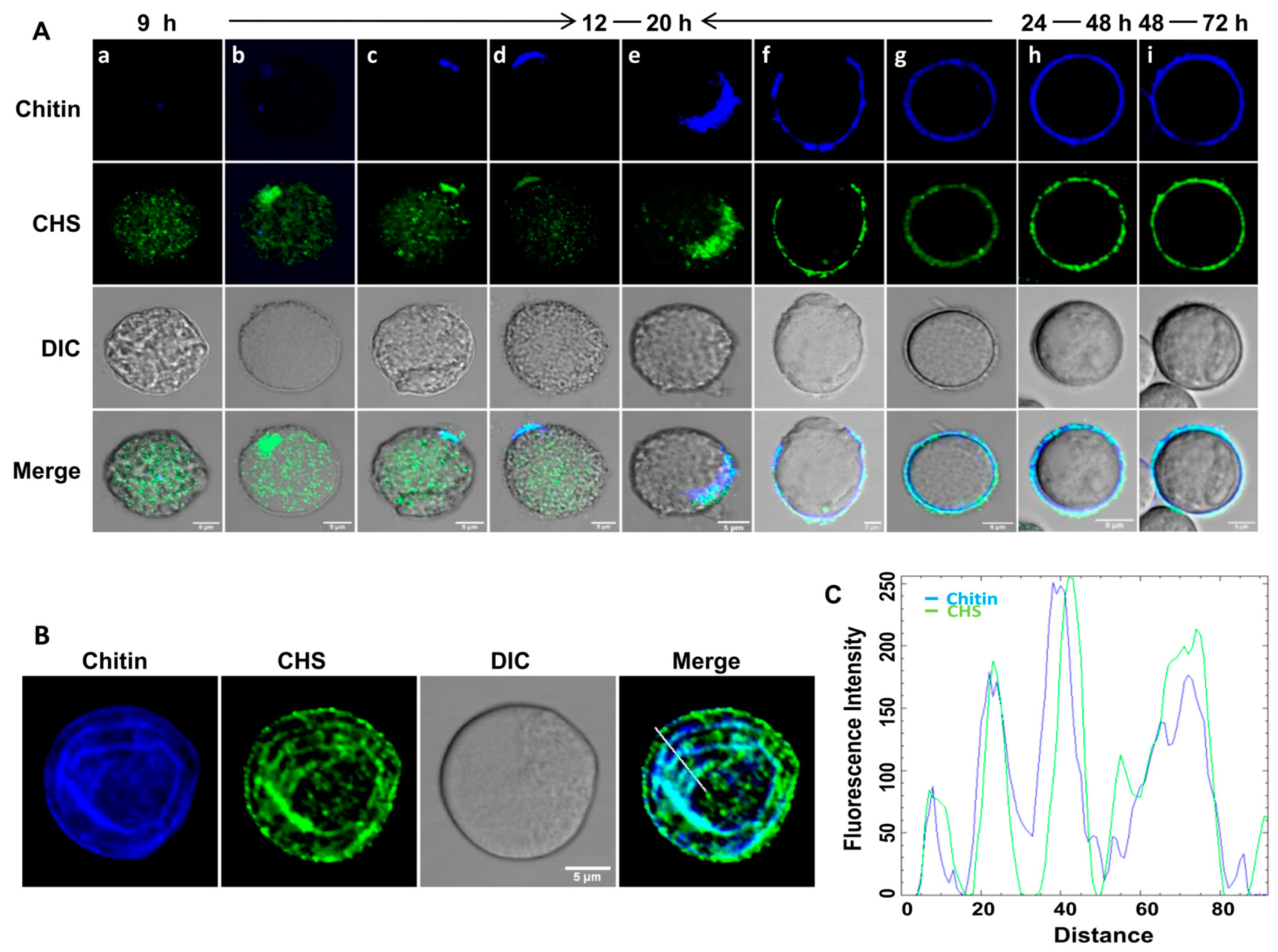 Pathogens 13 00020 g004