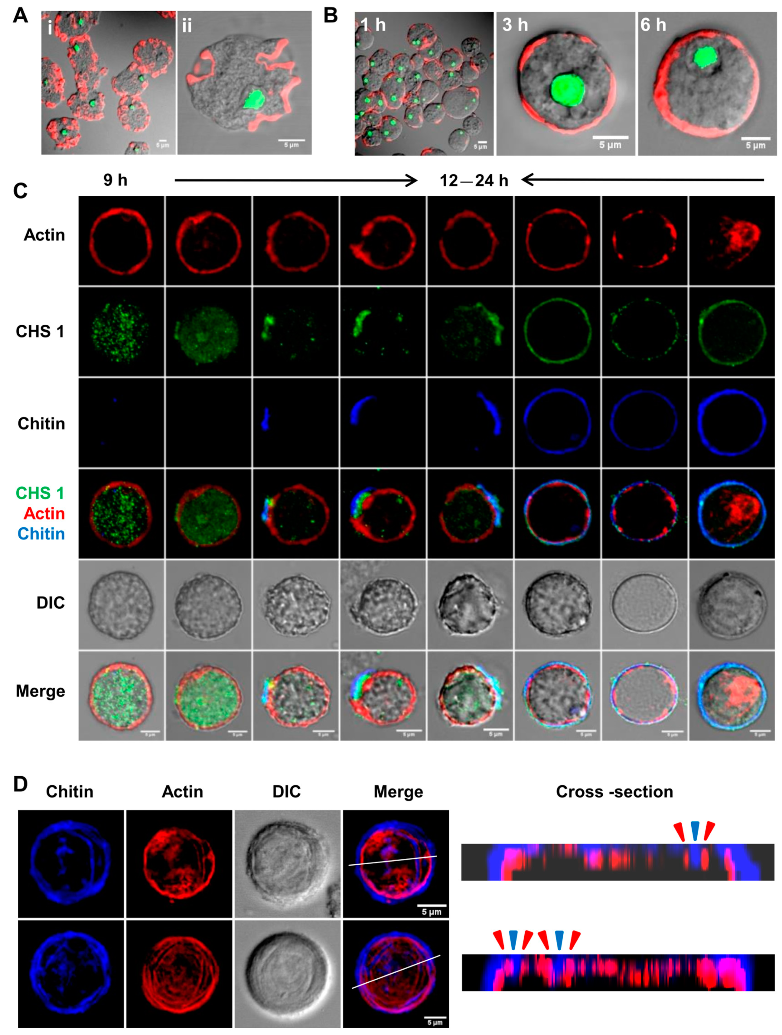 Pathogens 13 00020 g007