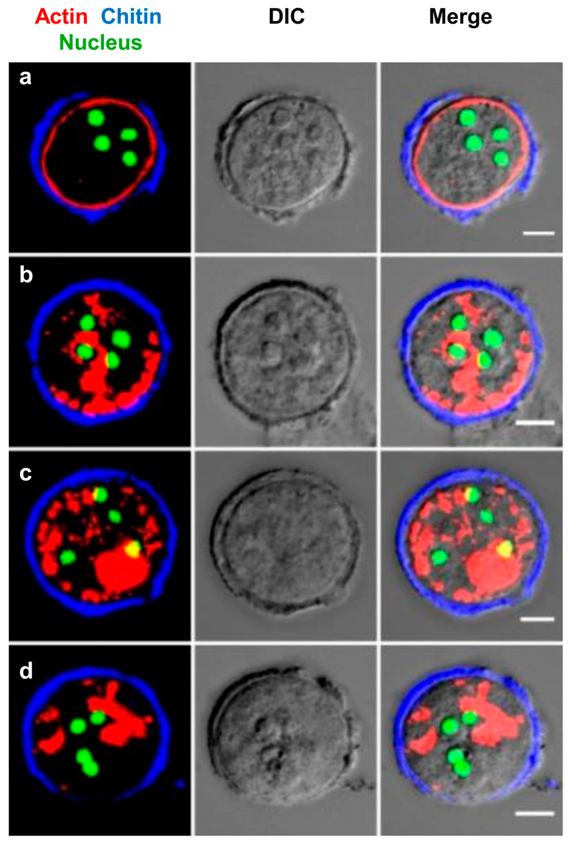 Pathogens 13 00020 g008