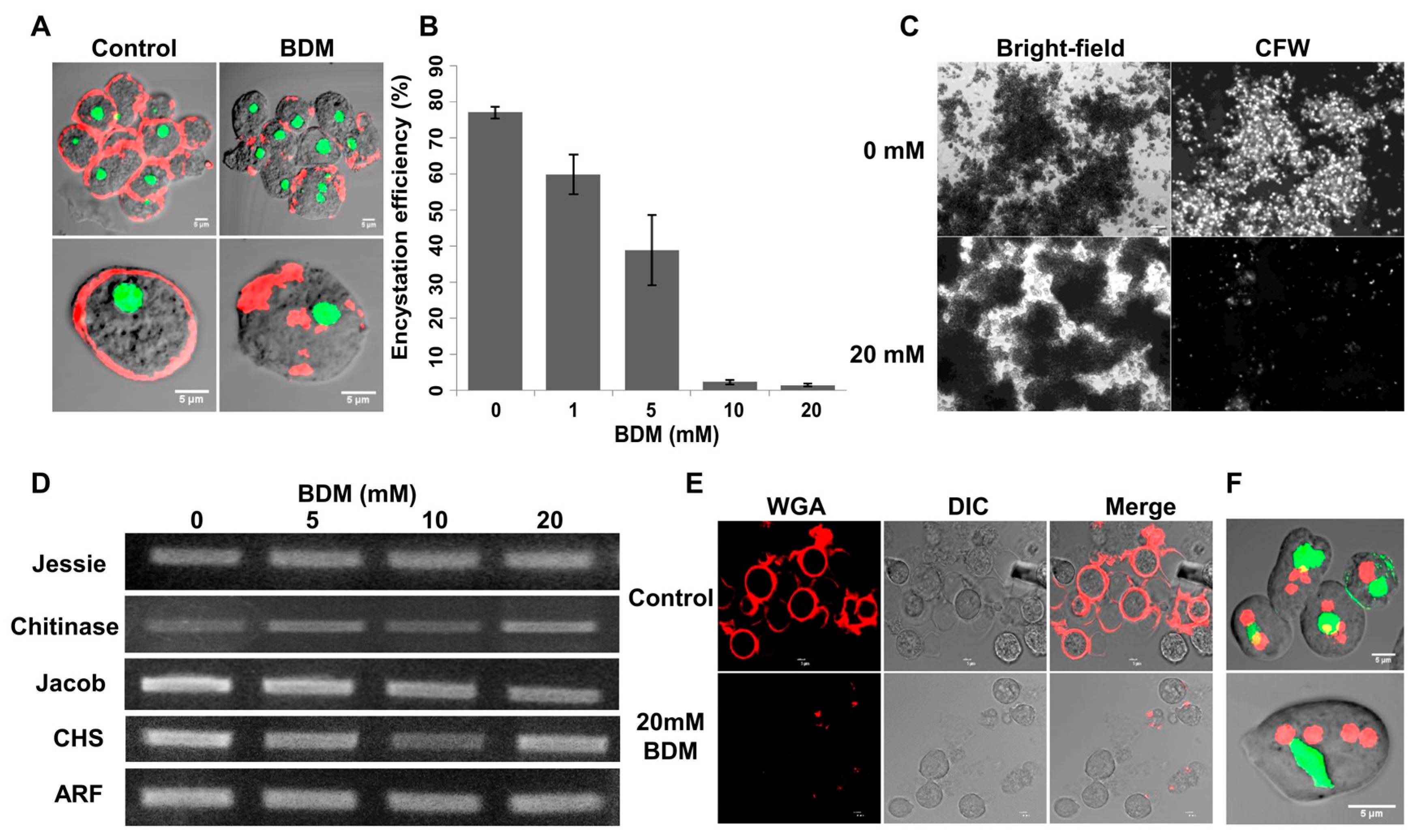 Pathogens 13 00020 g009