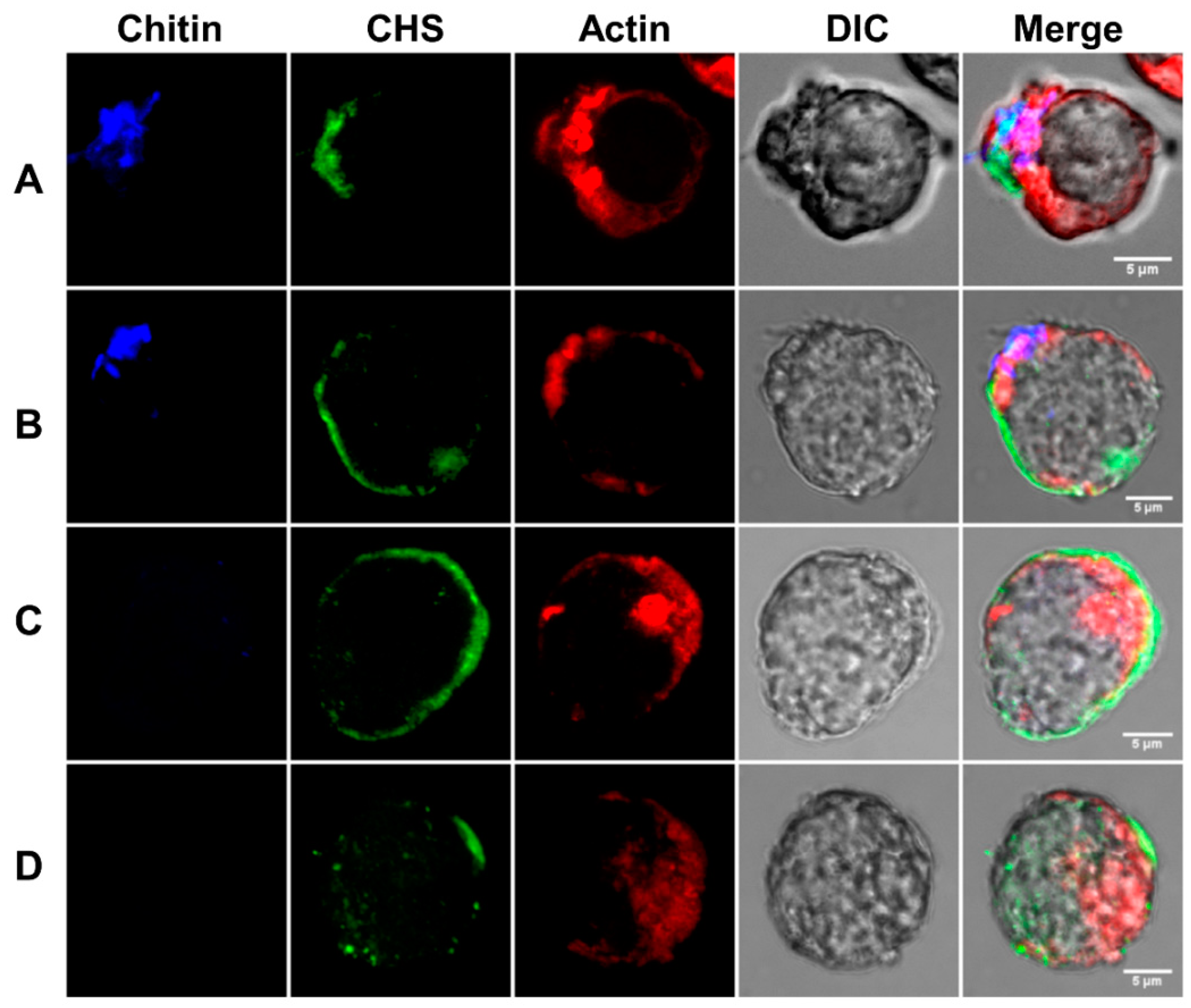 Pathogens 13 00020 g012