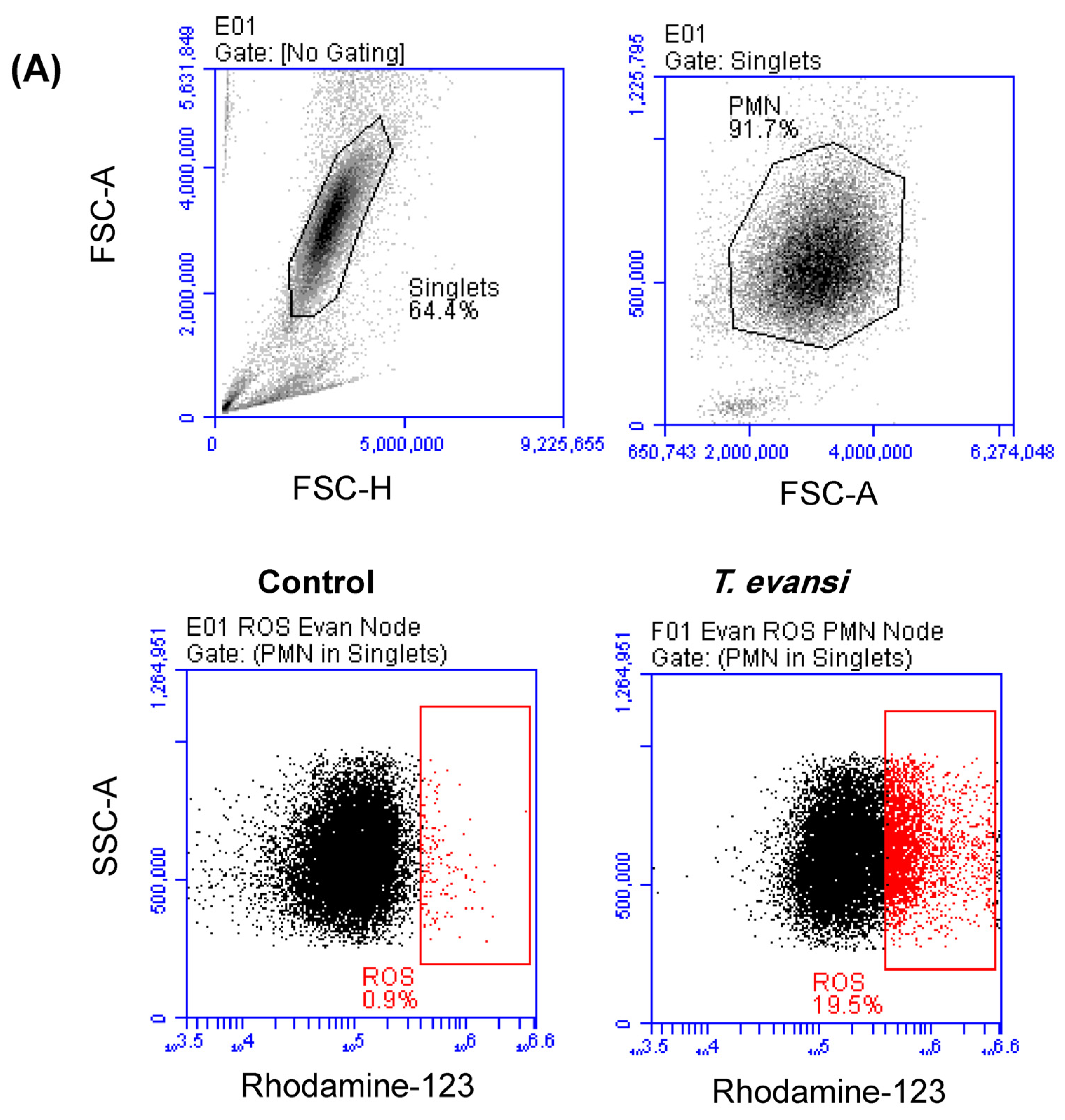 Pathogens 13 00021 g004a
