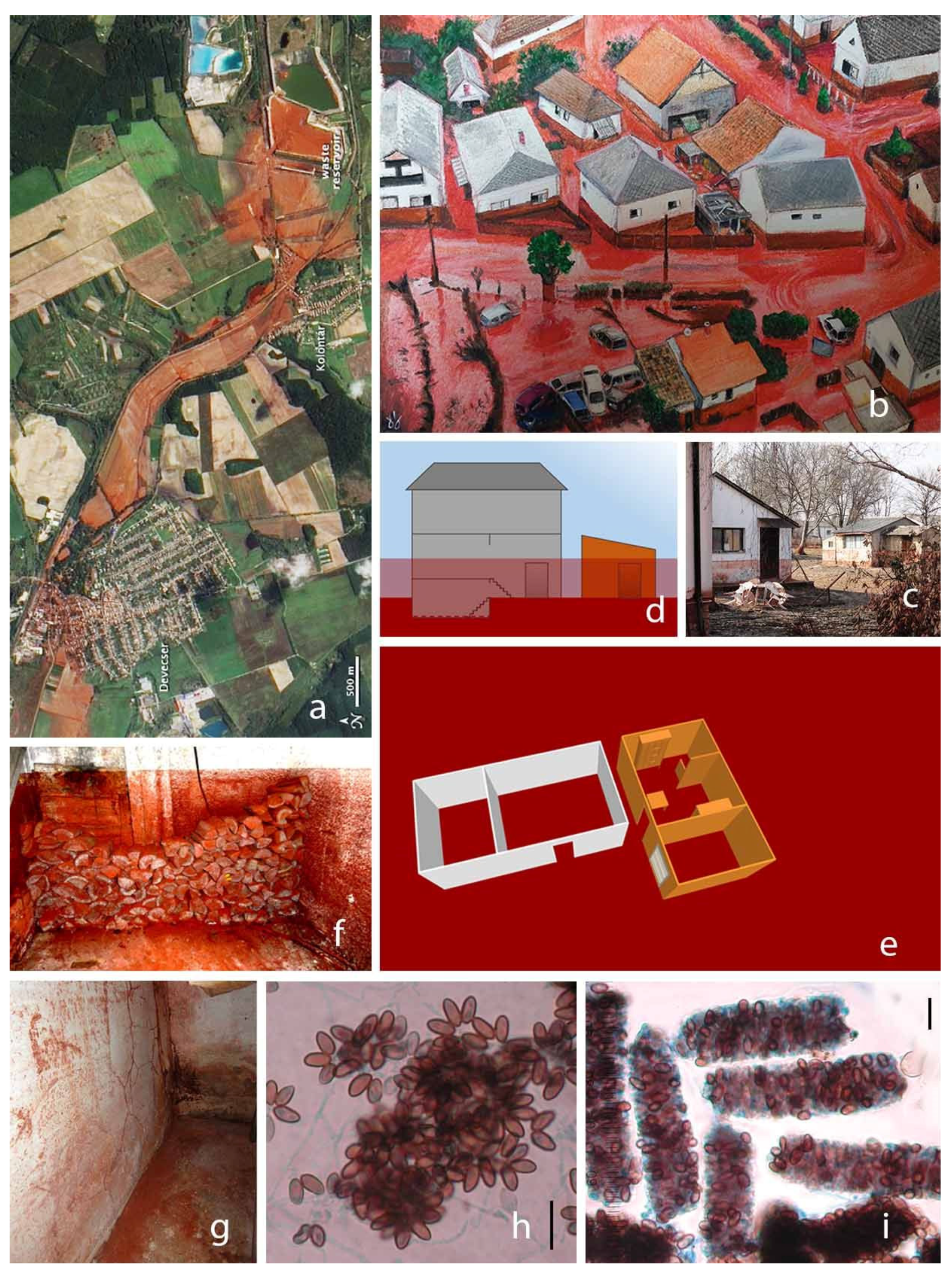 Pathogens 13 00022 g001