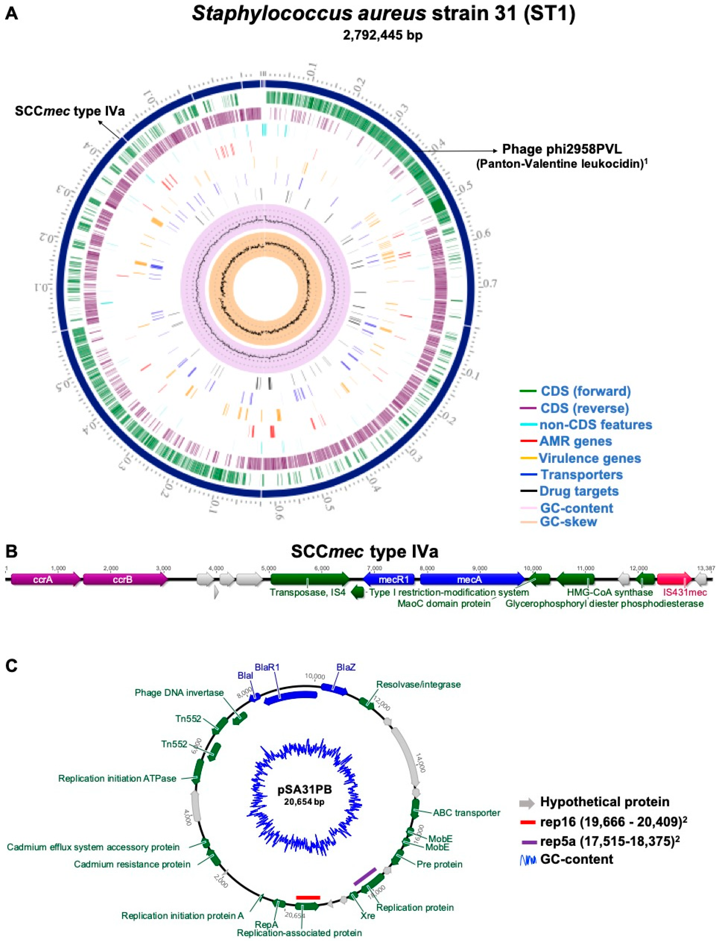 Pathogens 13 00023 g001