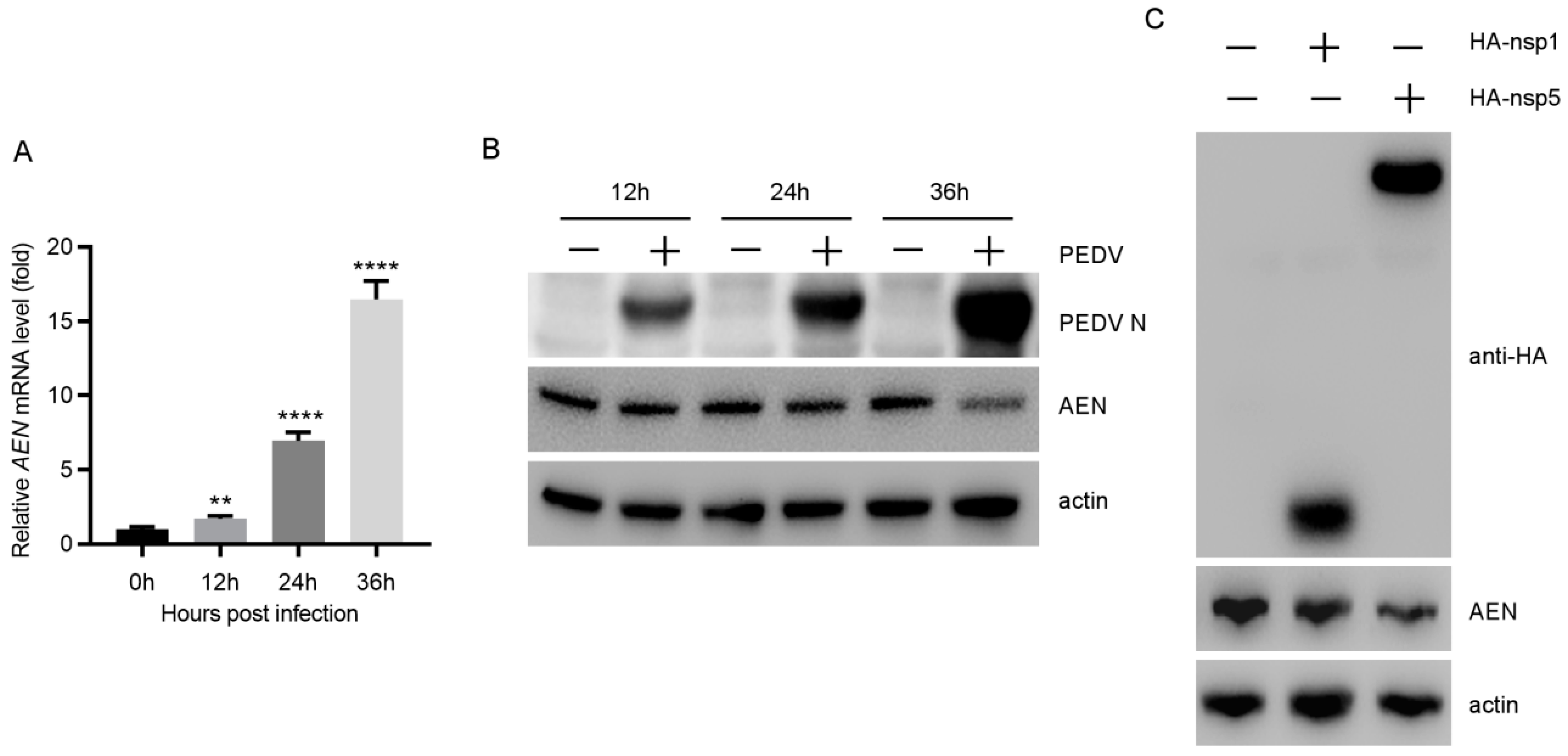 Pathogens 13 00024 g001
