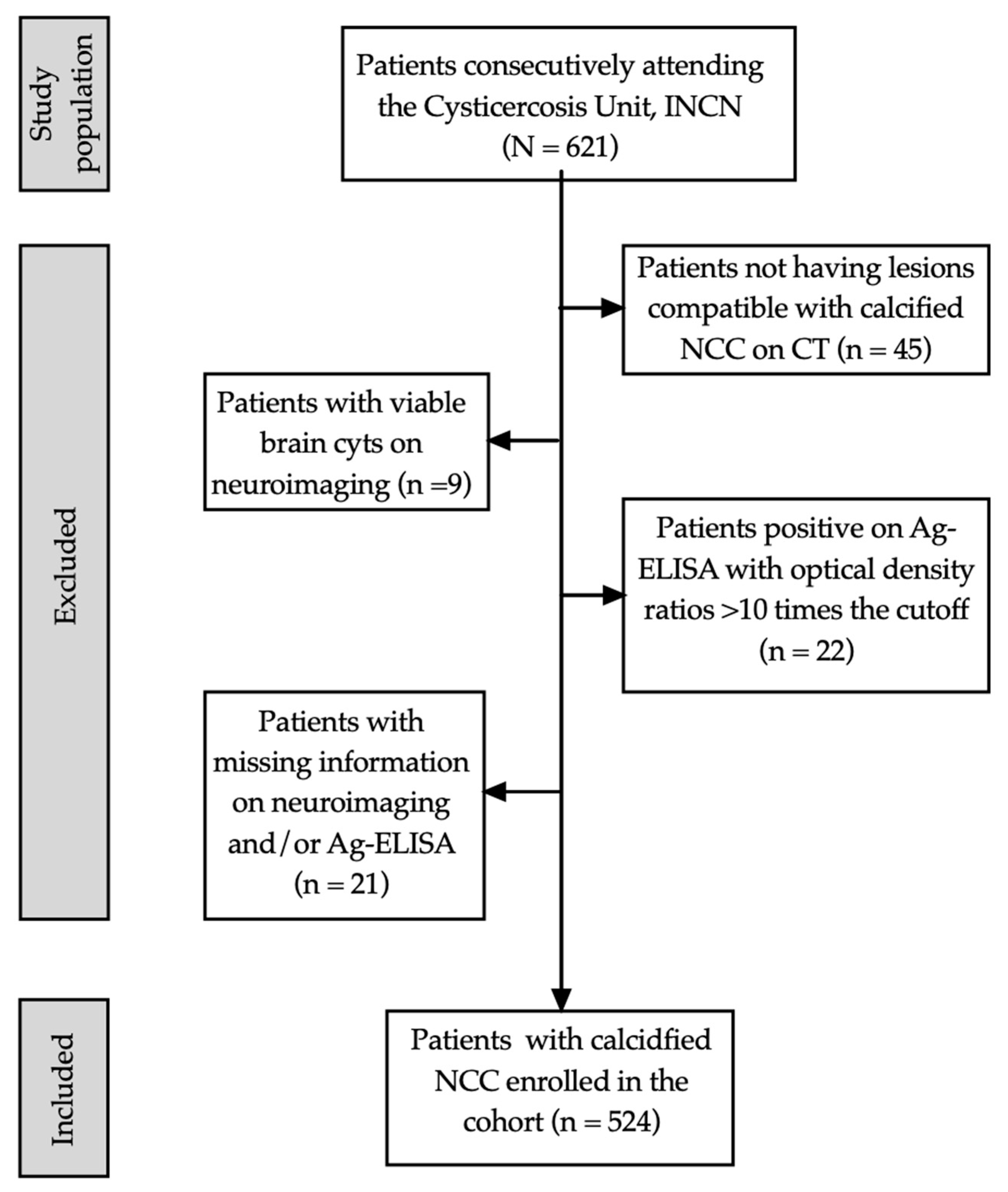 Pathogens 13 00026 g002