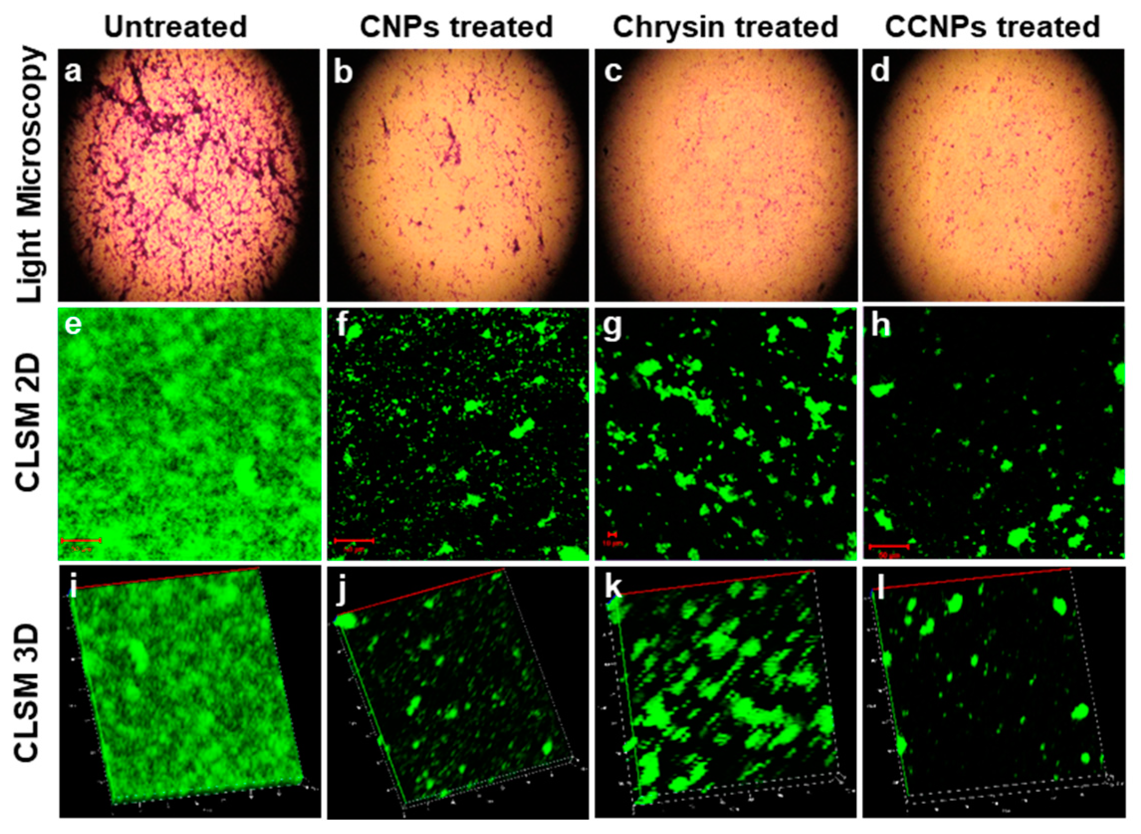 Pathogens 13 00029 g003