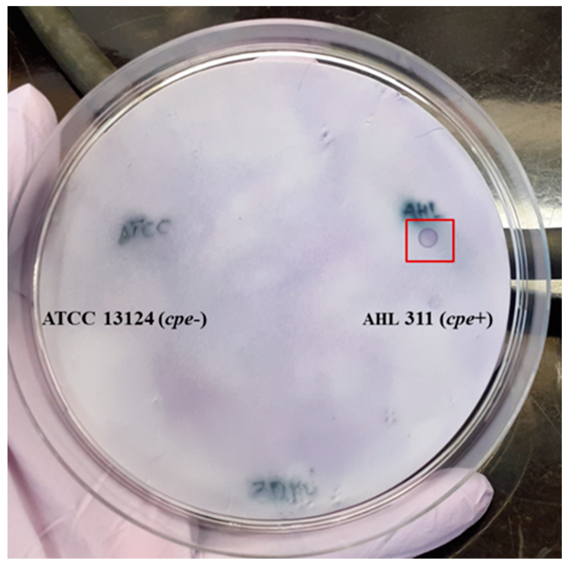 Pathogens 13 00030 g003