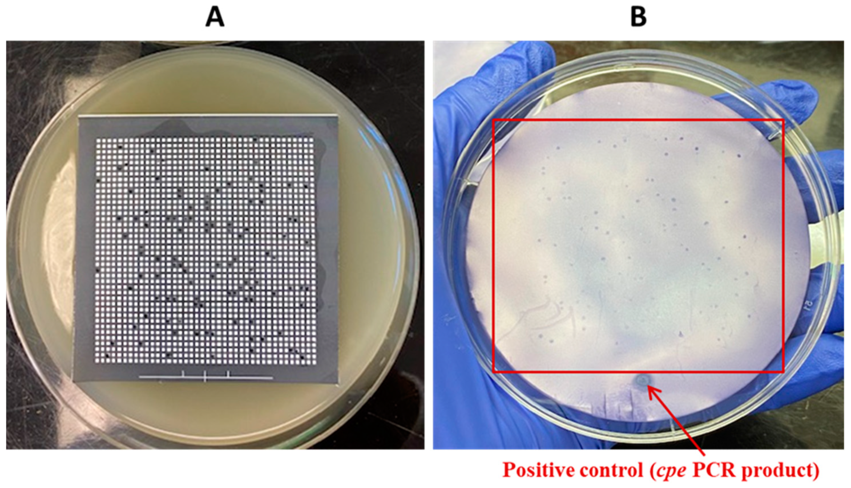 Pathogens 13 00030 g005