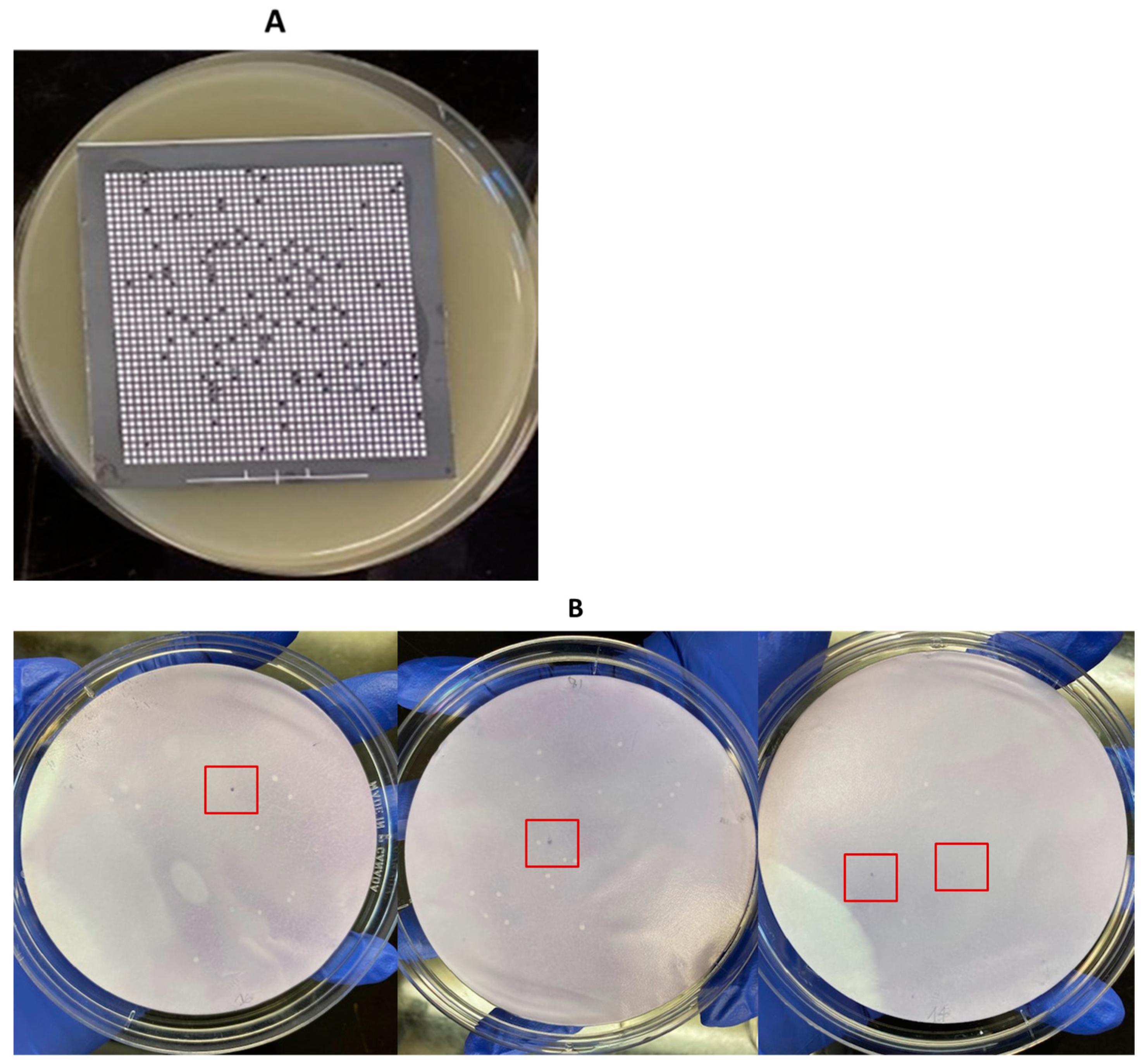 Pathogens 13 00030 g006