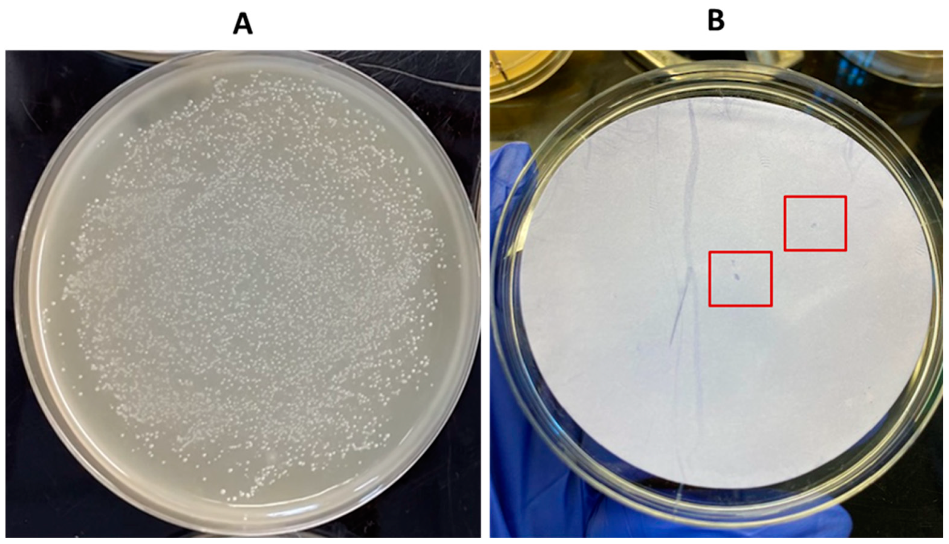 Pathogens 13 00030 g010
