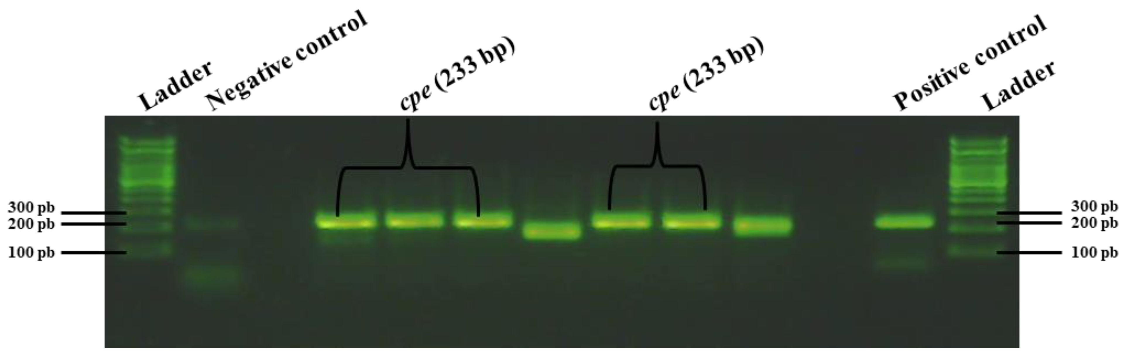 Pathogens 13 00030 g013