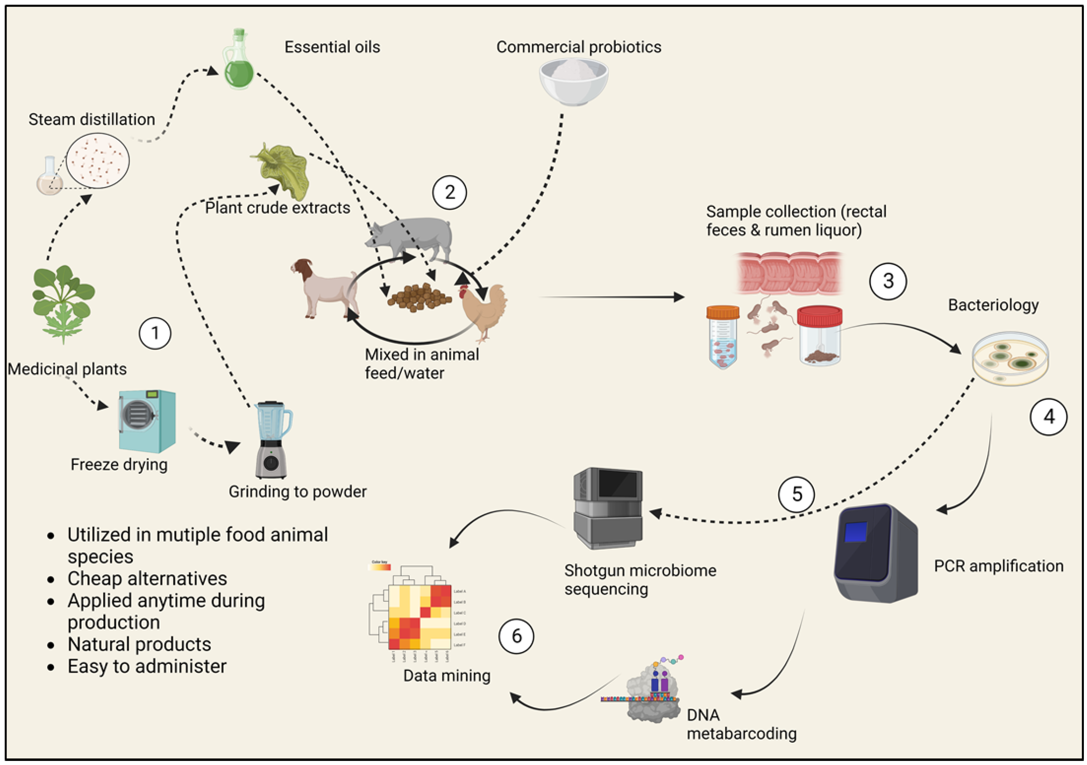 Pathogens 13 00031 g001 Pathogens 13 00031 g001
