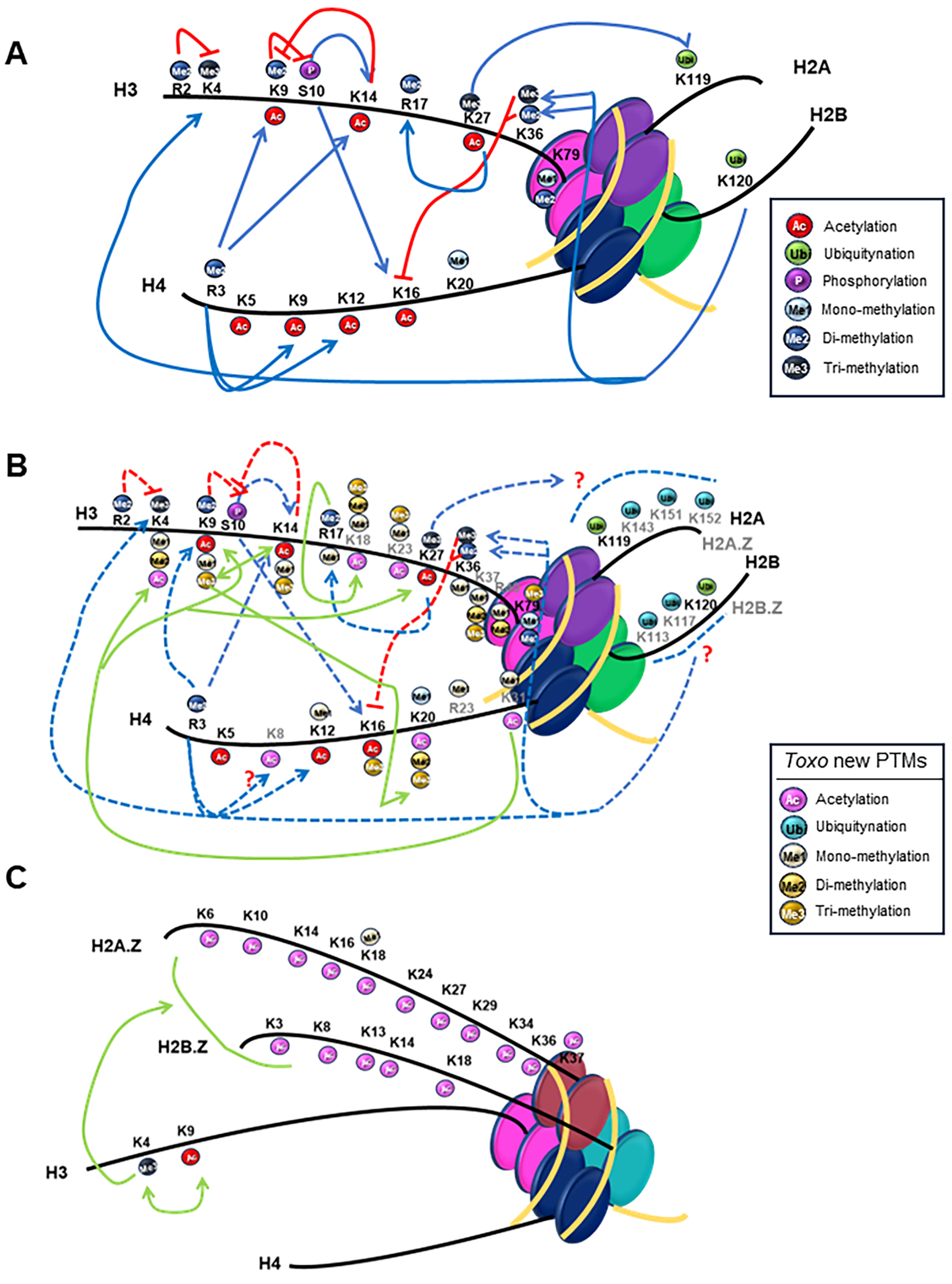 Pathogens 13 00033 g004