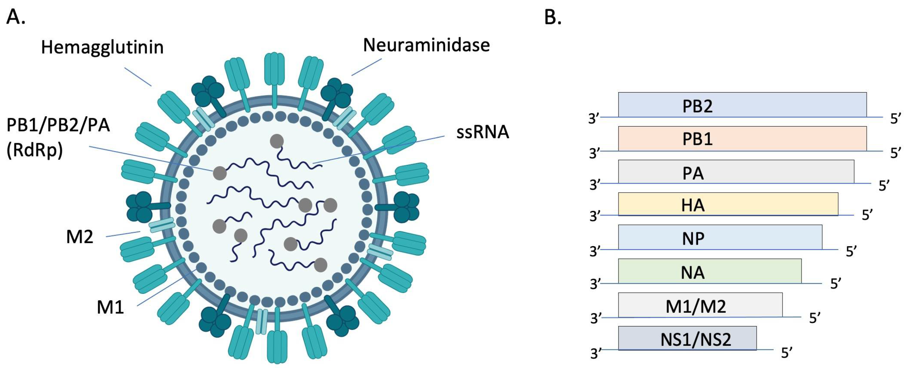 Pathogens 13 00035 g001