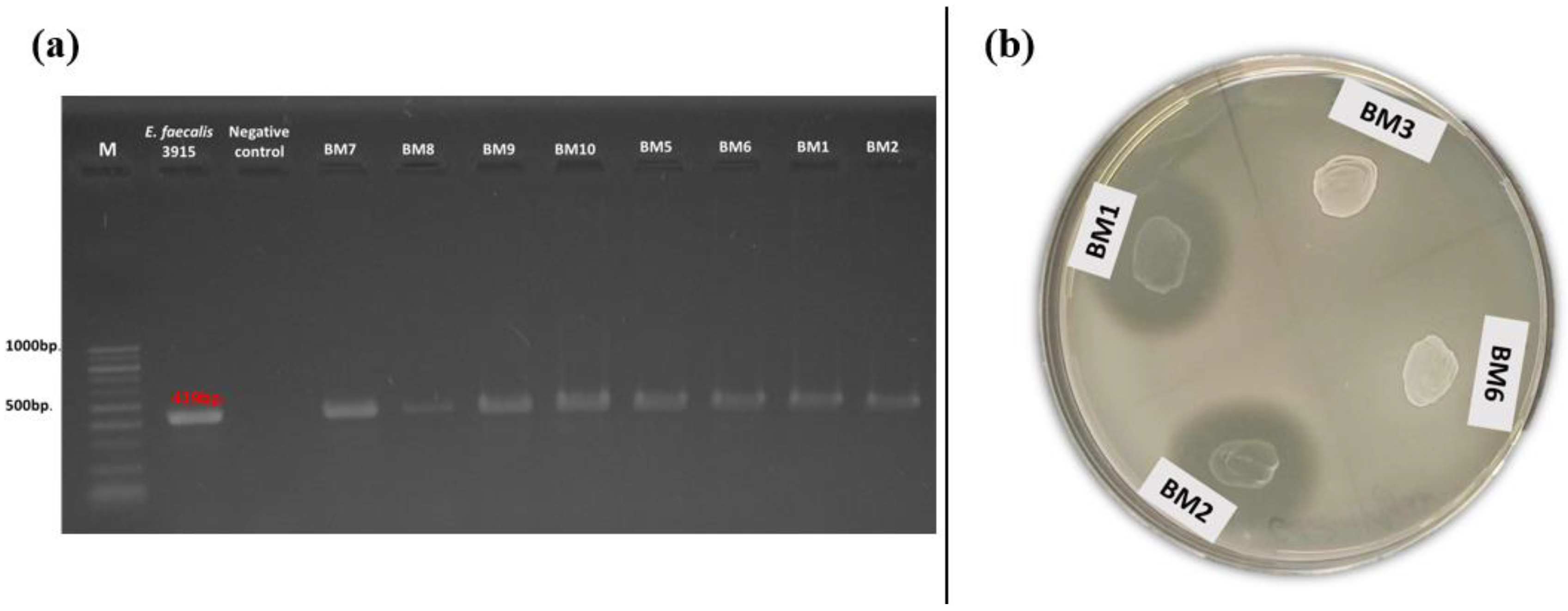 Pathogens 13 00036 g004