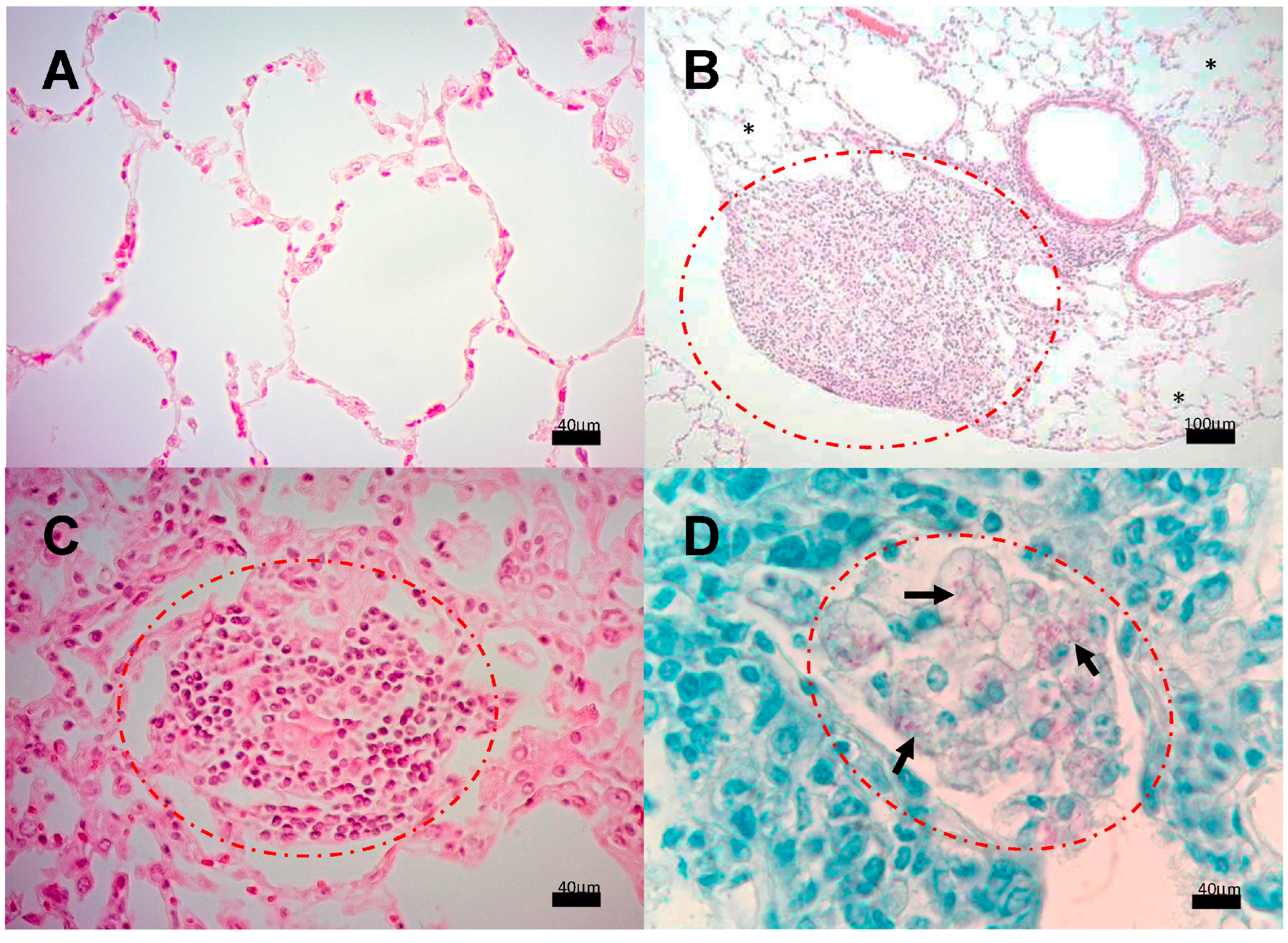 Pathogens 13 00037 g003
