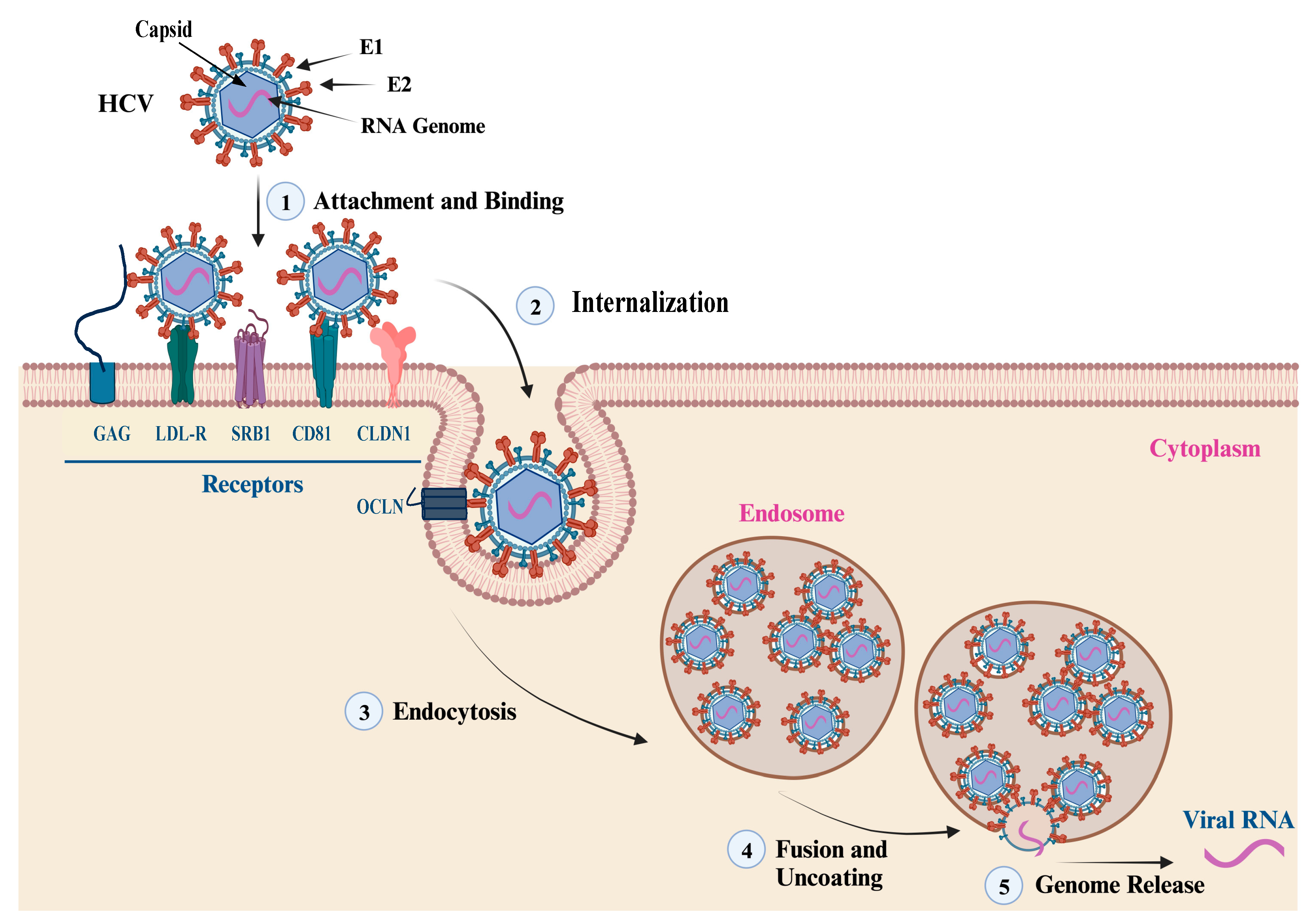 Pathogens 13 00038 g004 Pathogens 13 00038 g004