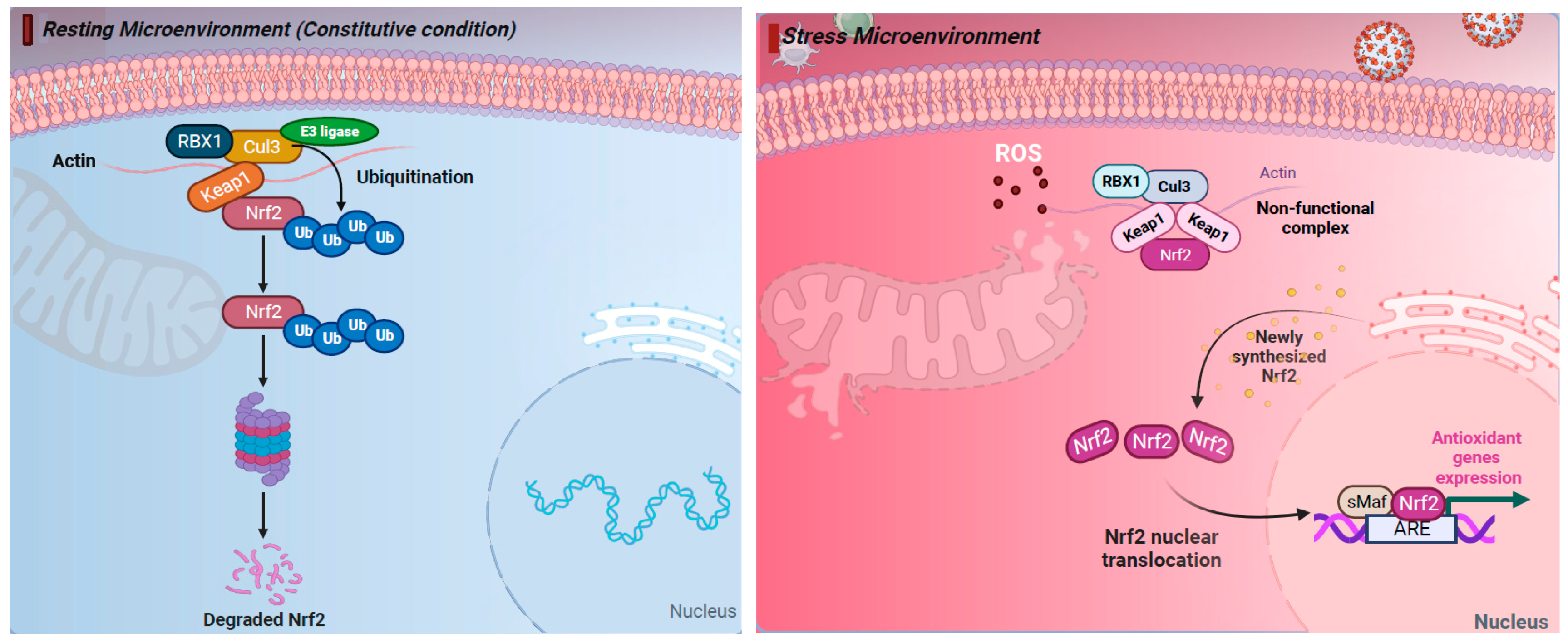 Pathogens 13 00039 g001