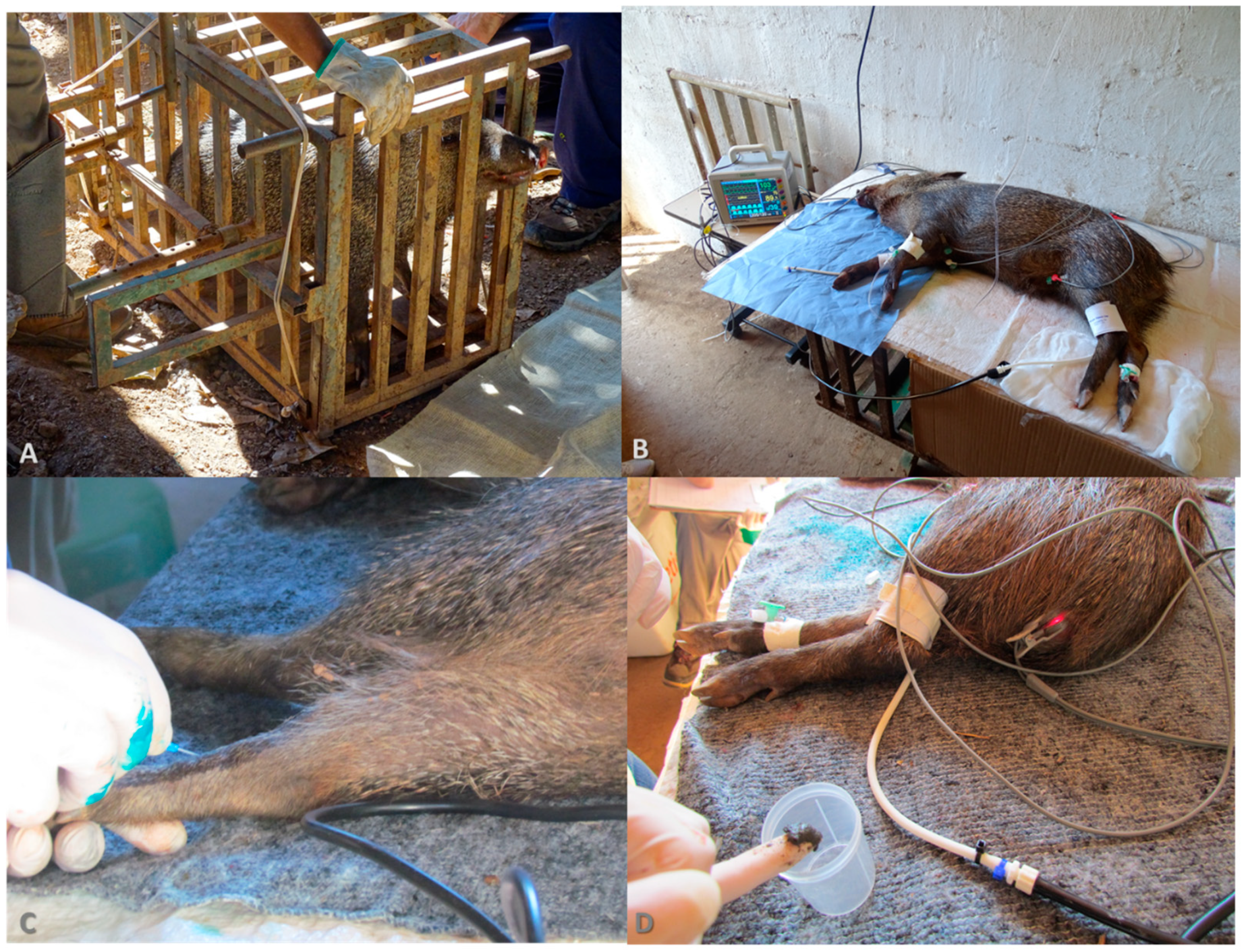 Pathogens 13 00047 g001