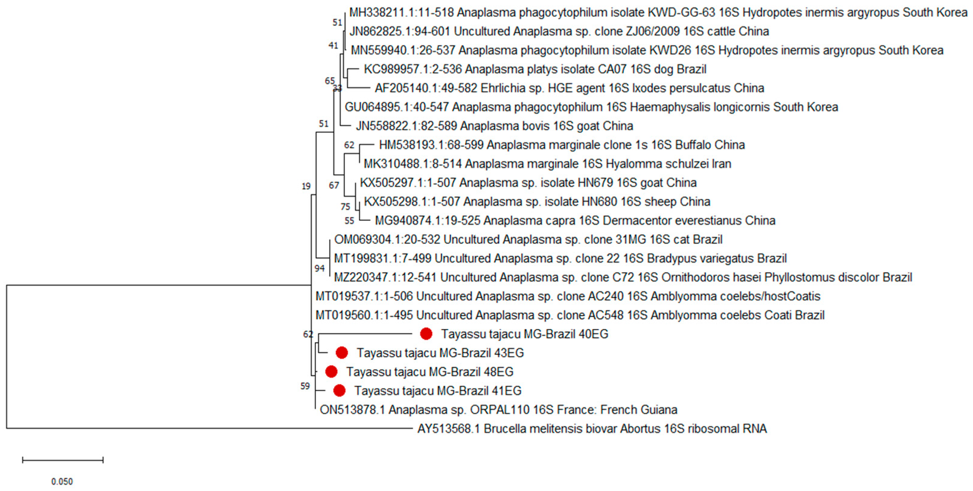 Pathogens 13 00047 g003