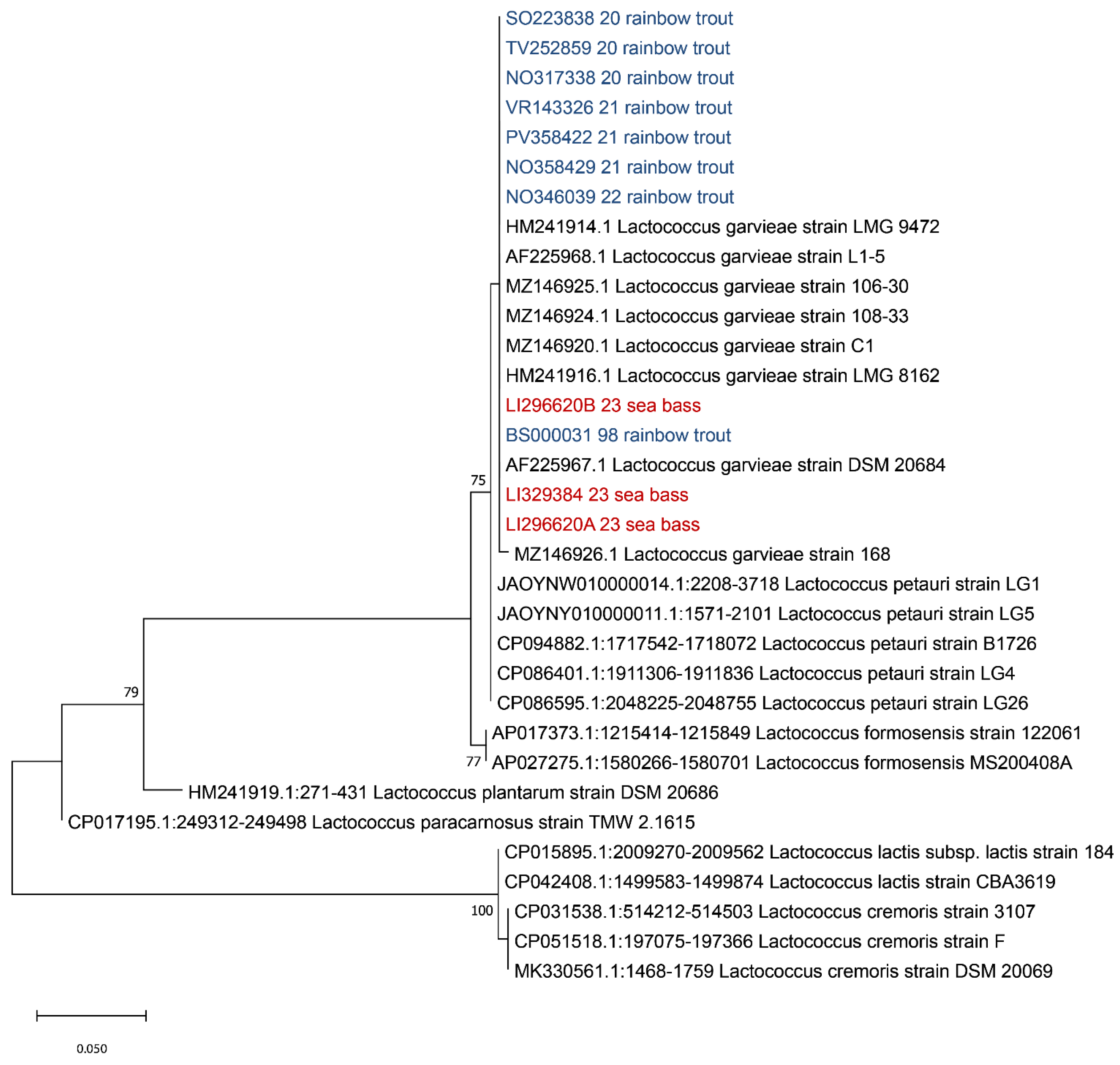 Pathogens 13 00049 g004 Pathogens 13 00049 g004