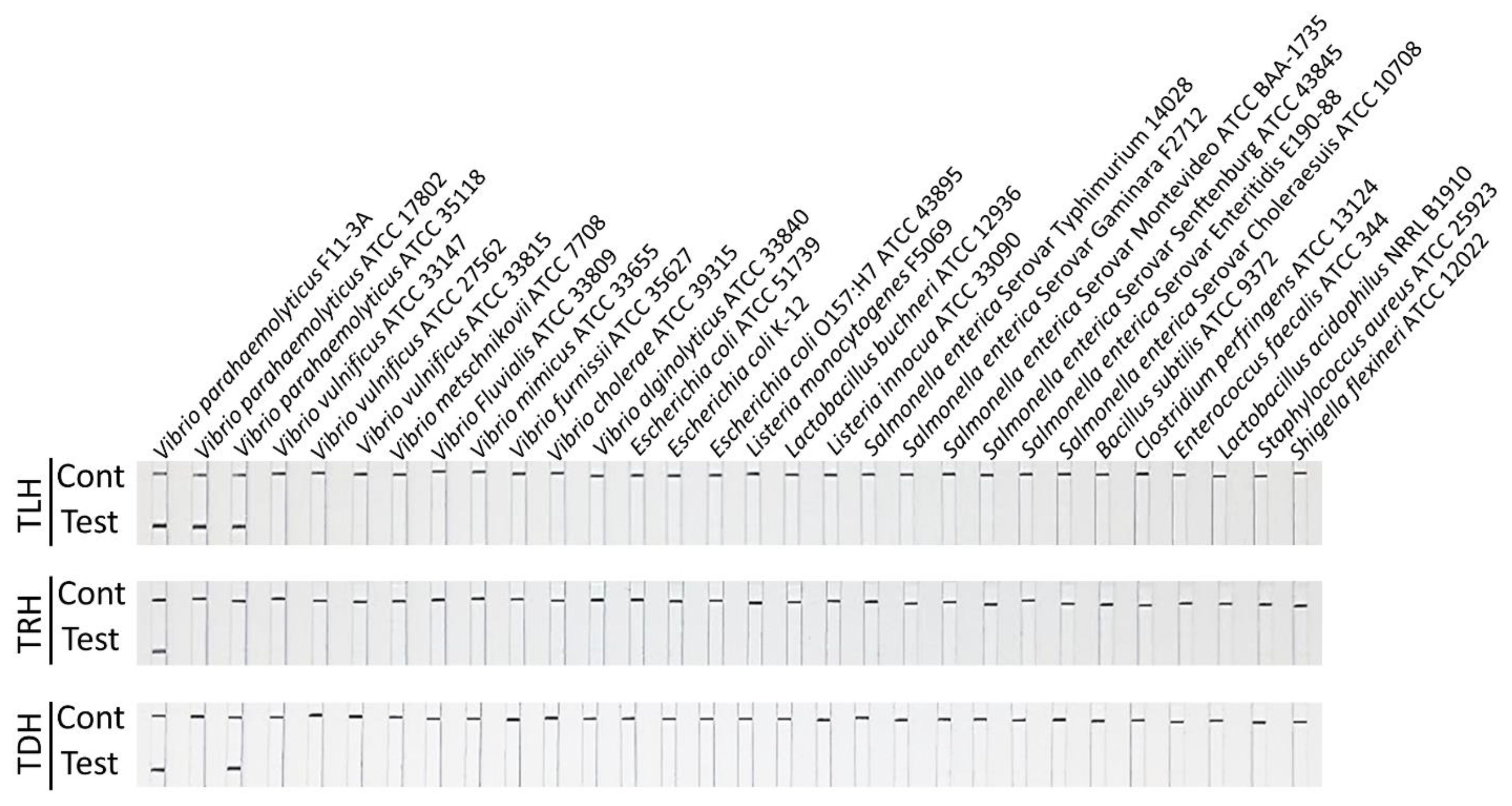 Pathogens 13 00057 g007