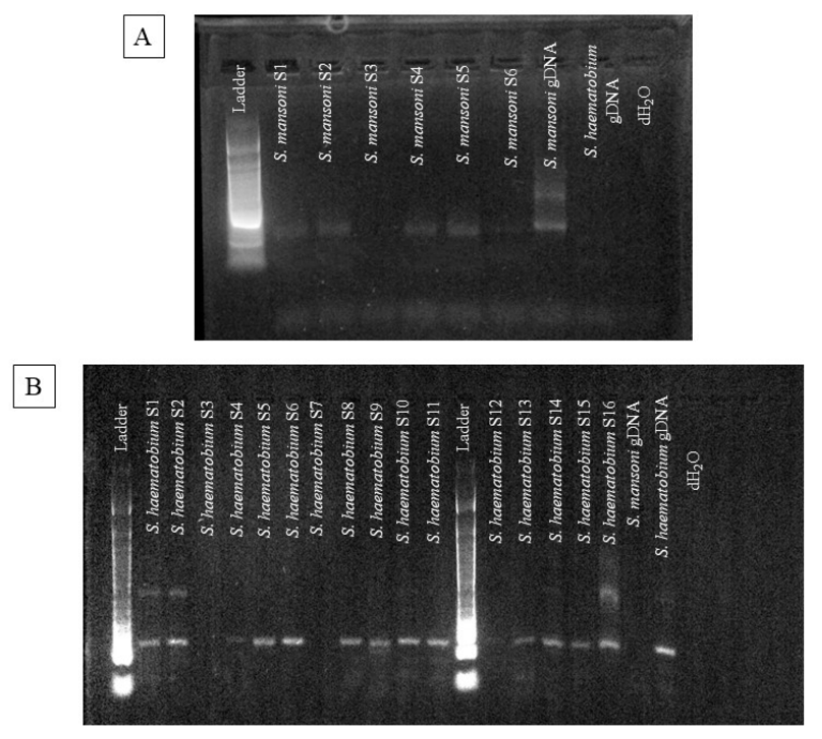 Pathogens 13 00059 g001