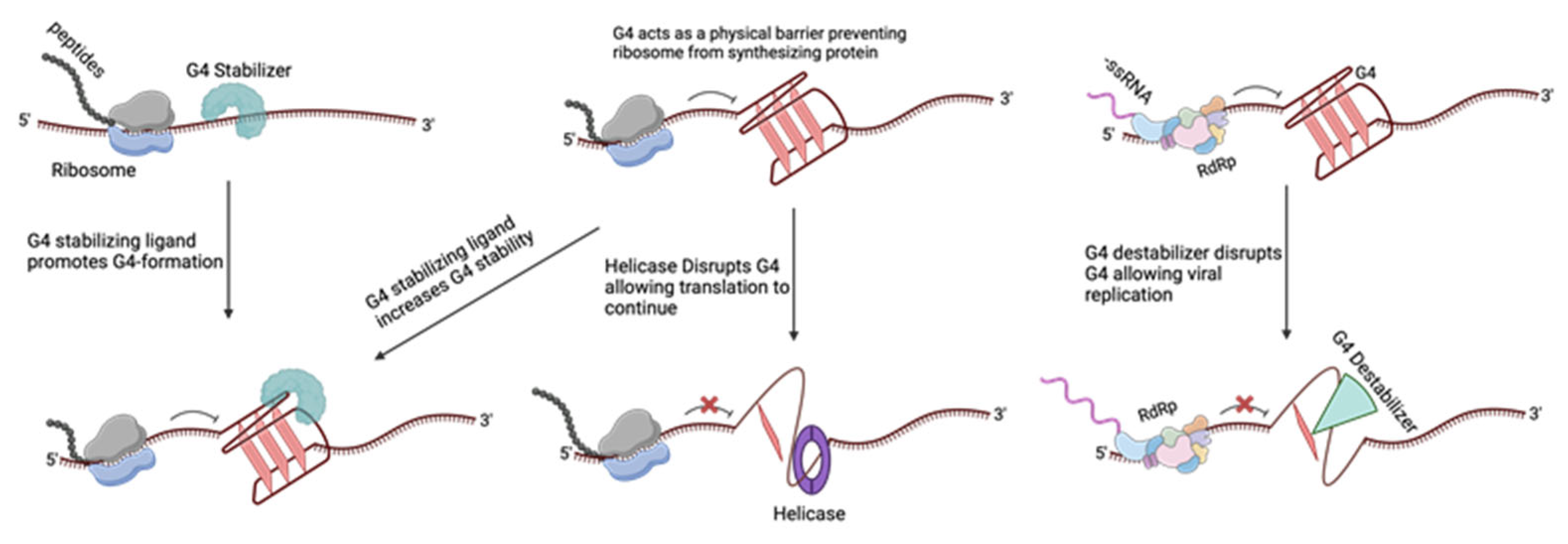 Pathogens 13 00060 g002