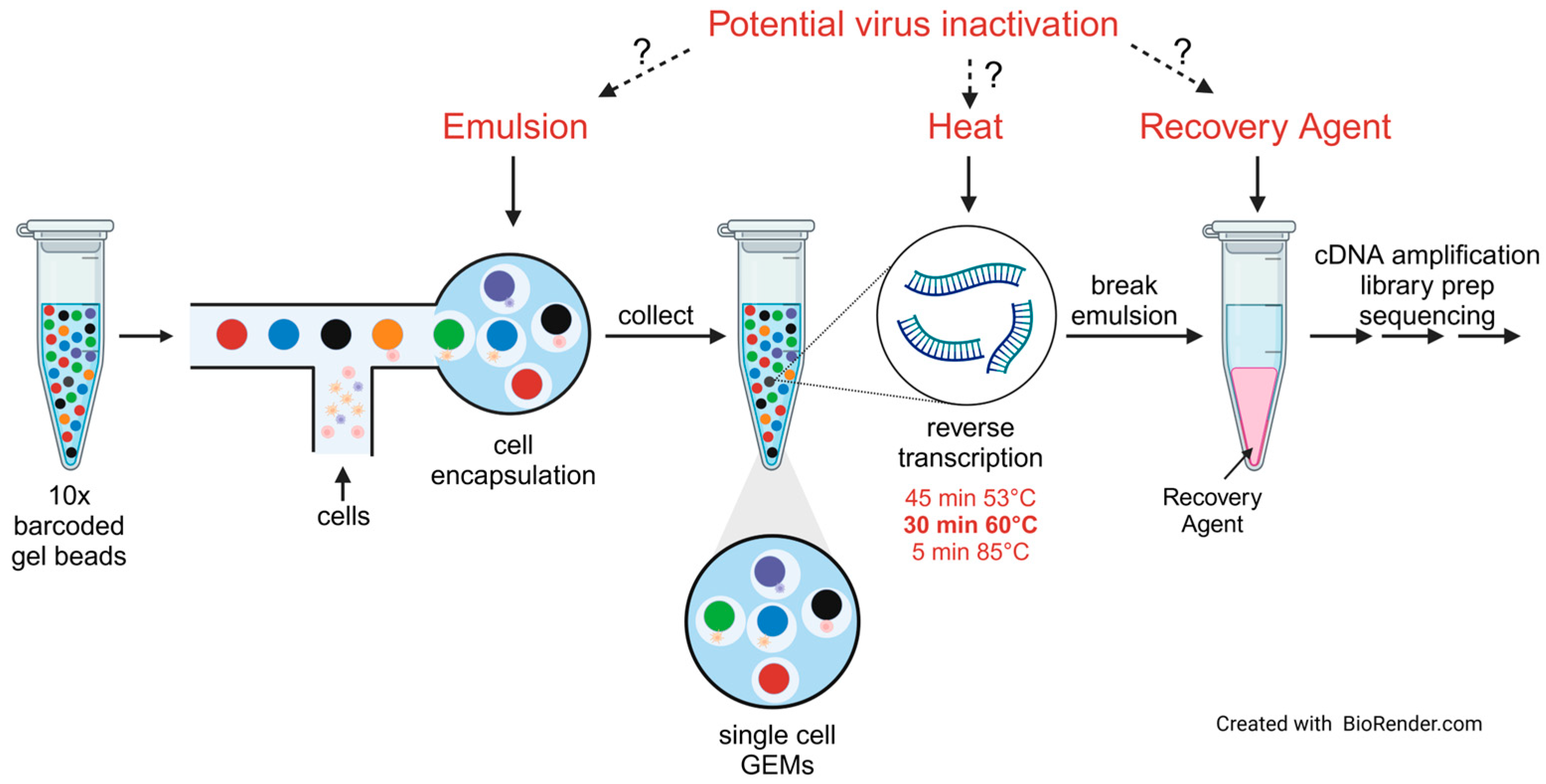 Pathogens 13 00062 g001
