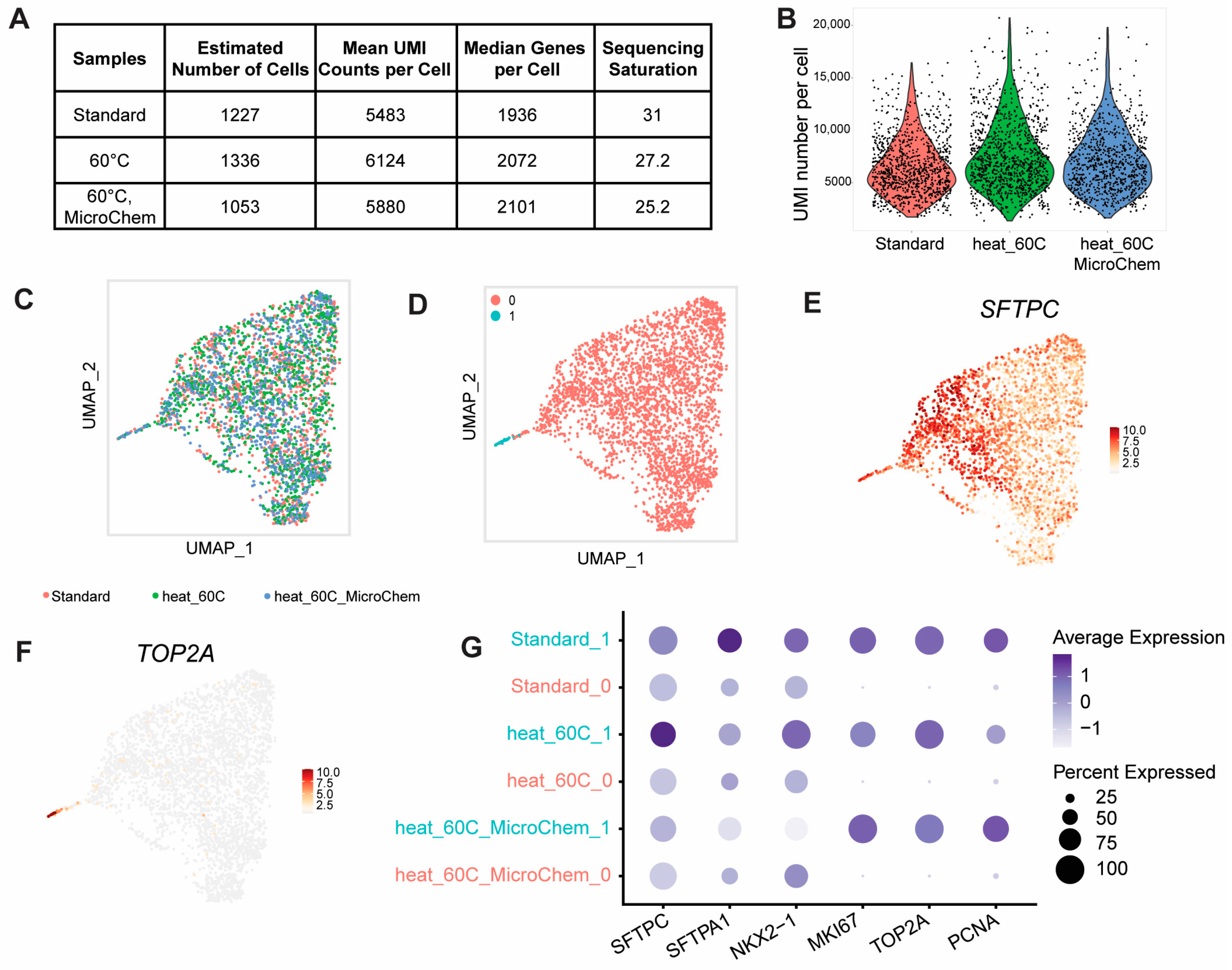 Pathogens 13 00062 g006