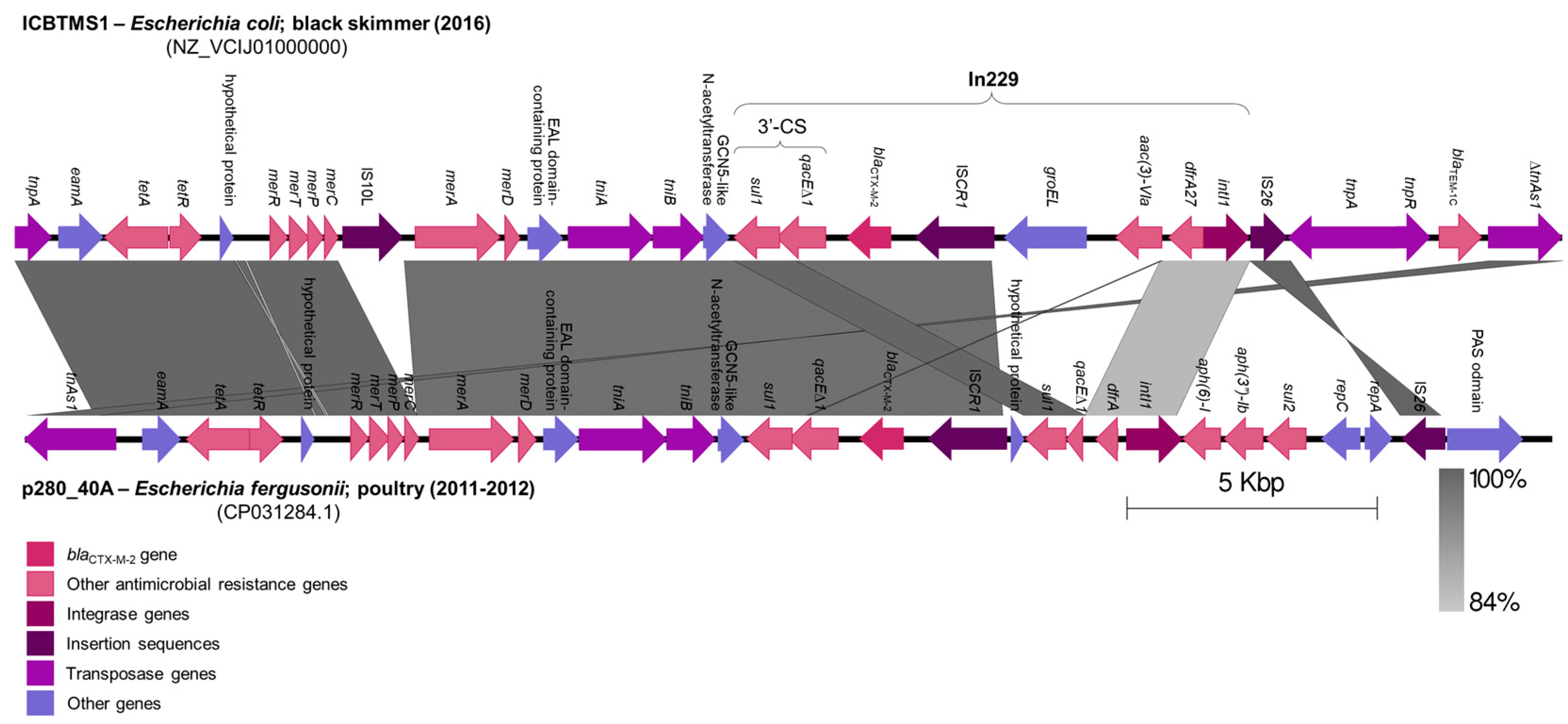 Pathogens 13 00063 g001