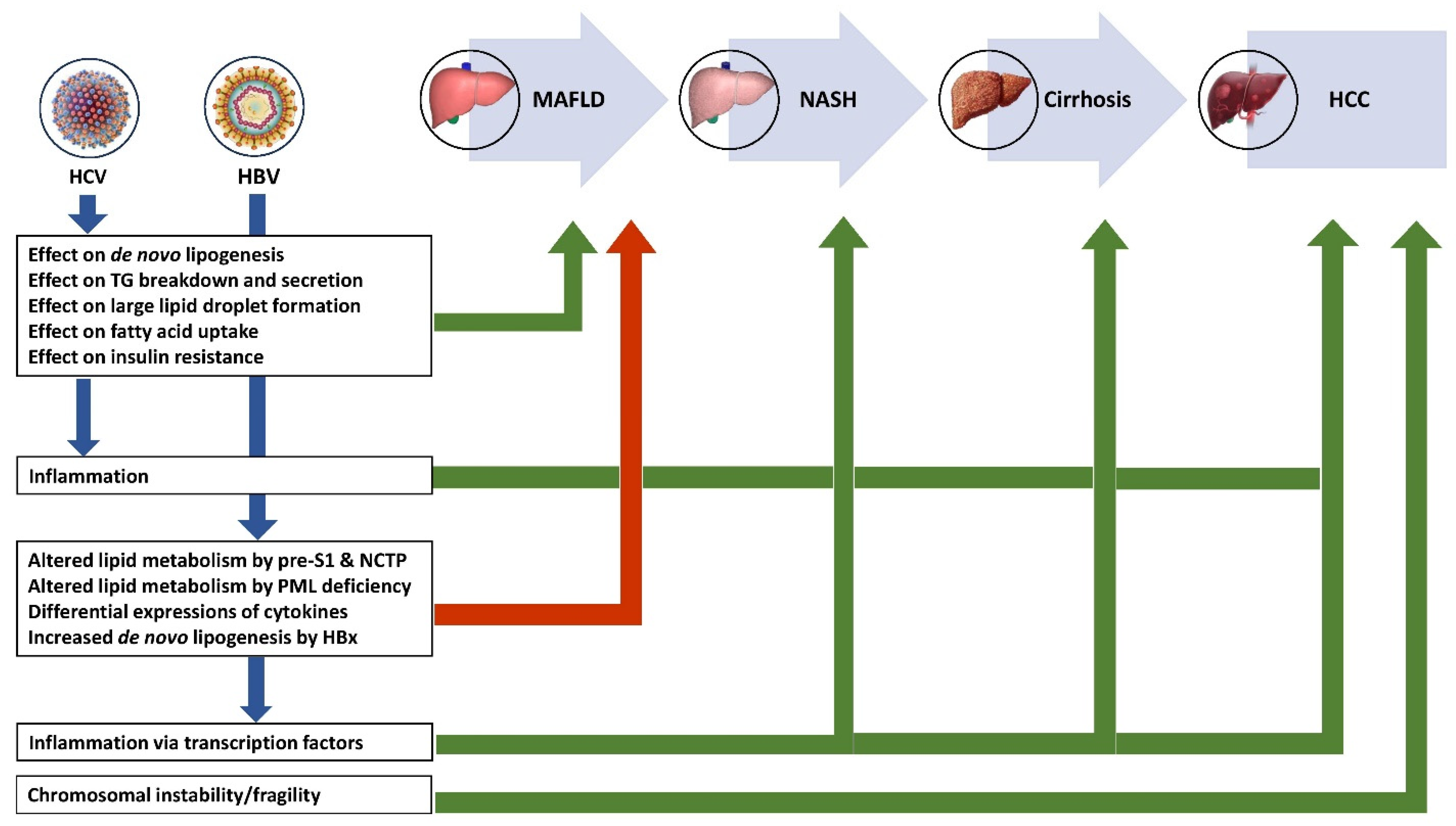 Pathogens 13 00068 g003