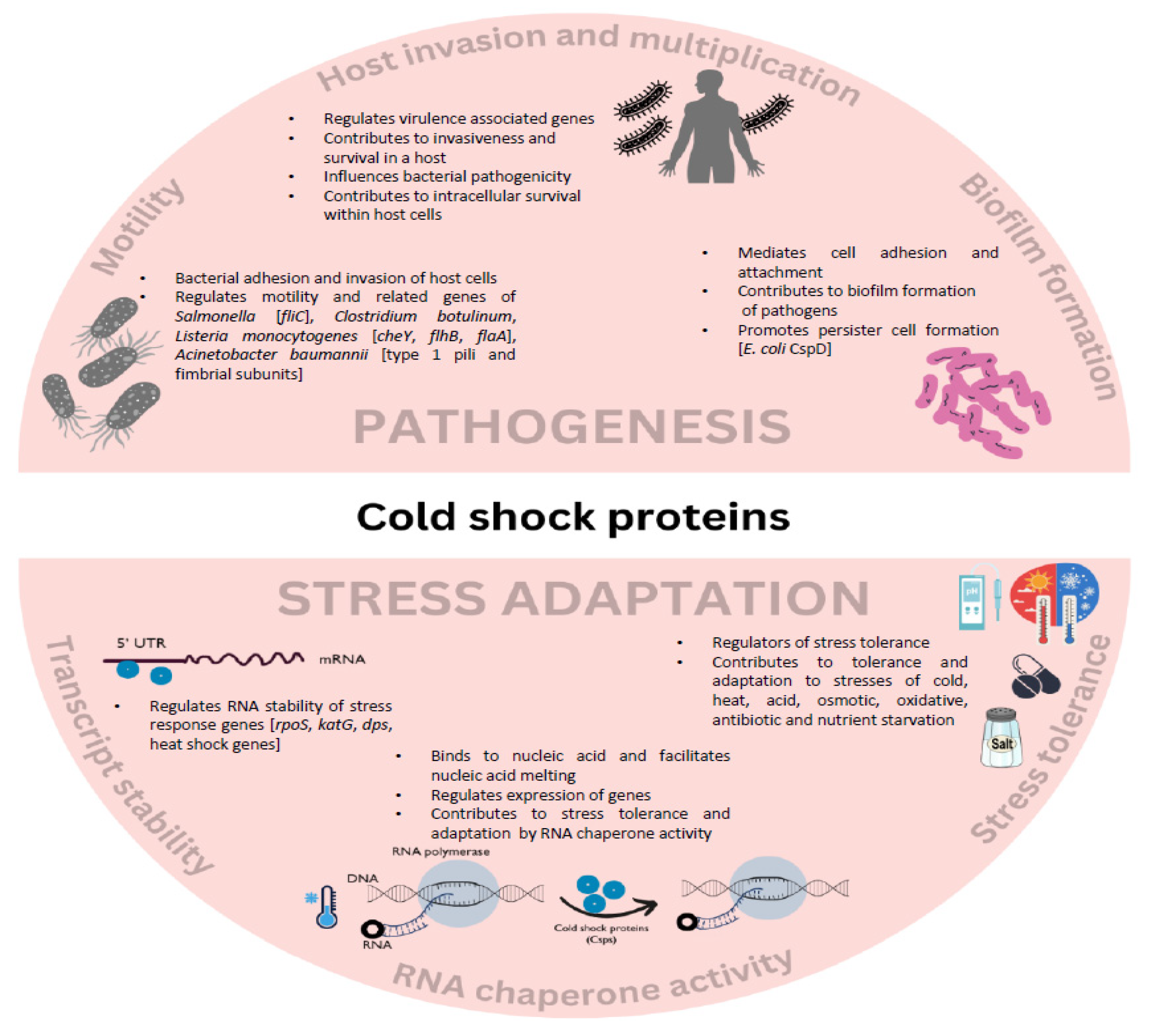 Pathogens 13 00069 g001
