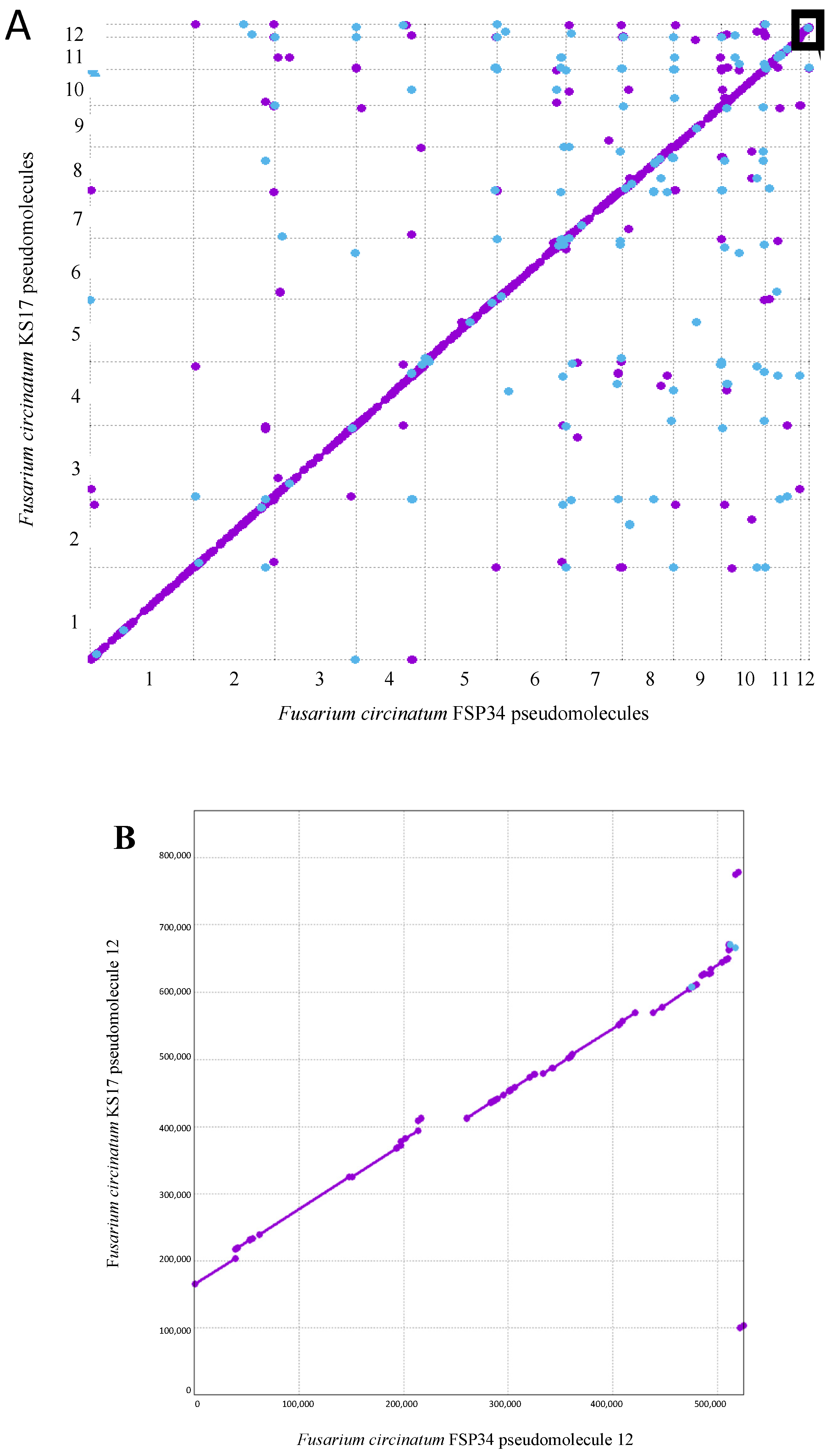 Pathogens 13 00070 g001 Pathogens 13 00070 g001