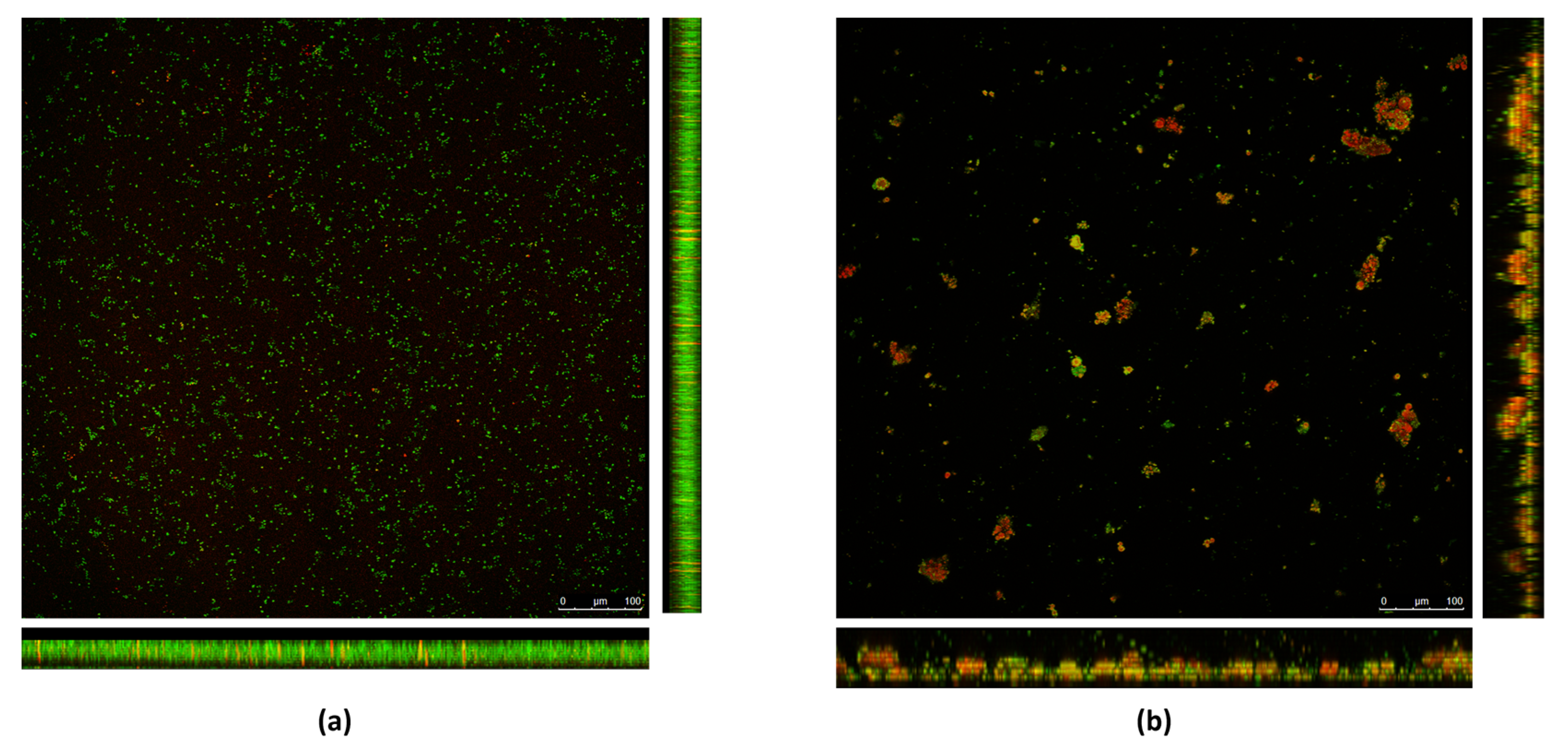 Pathogens 13 00080 g002